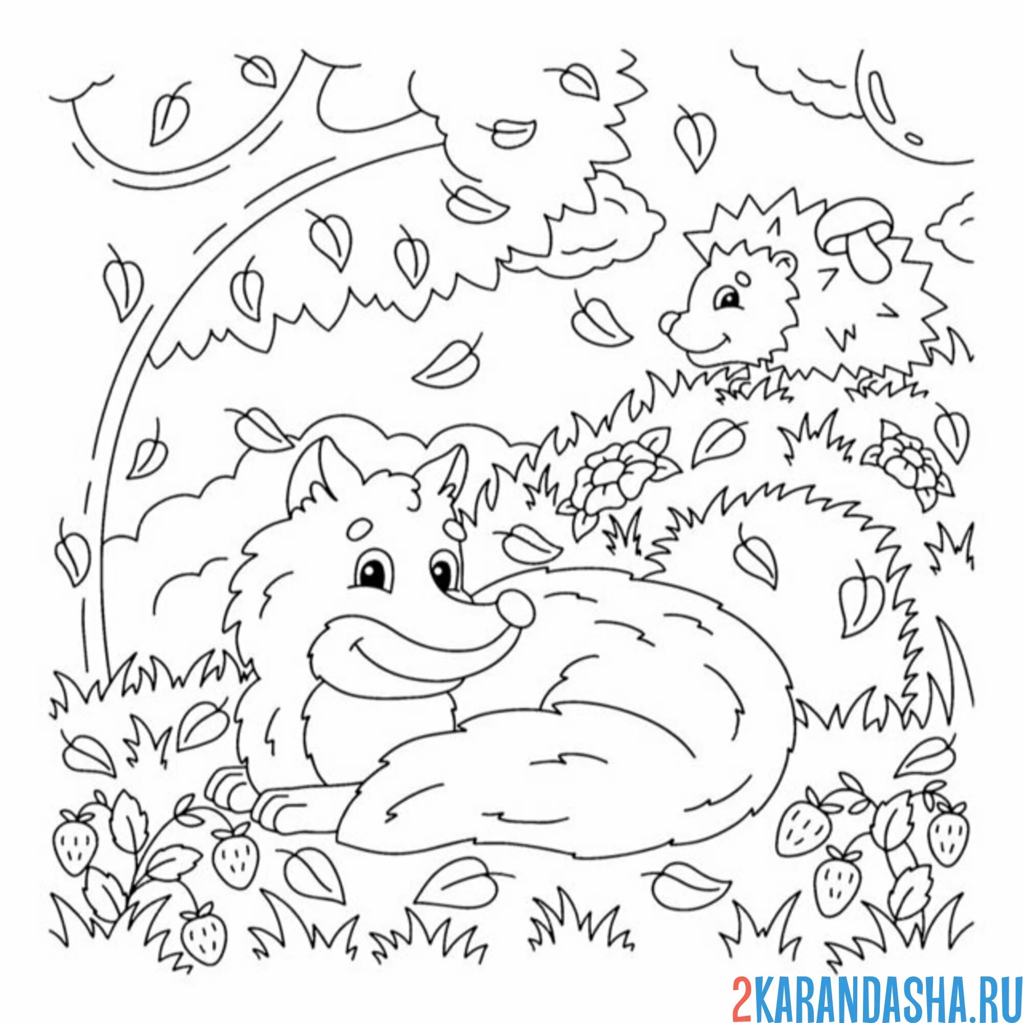 Раскраска лес, лиса и ежик