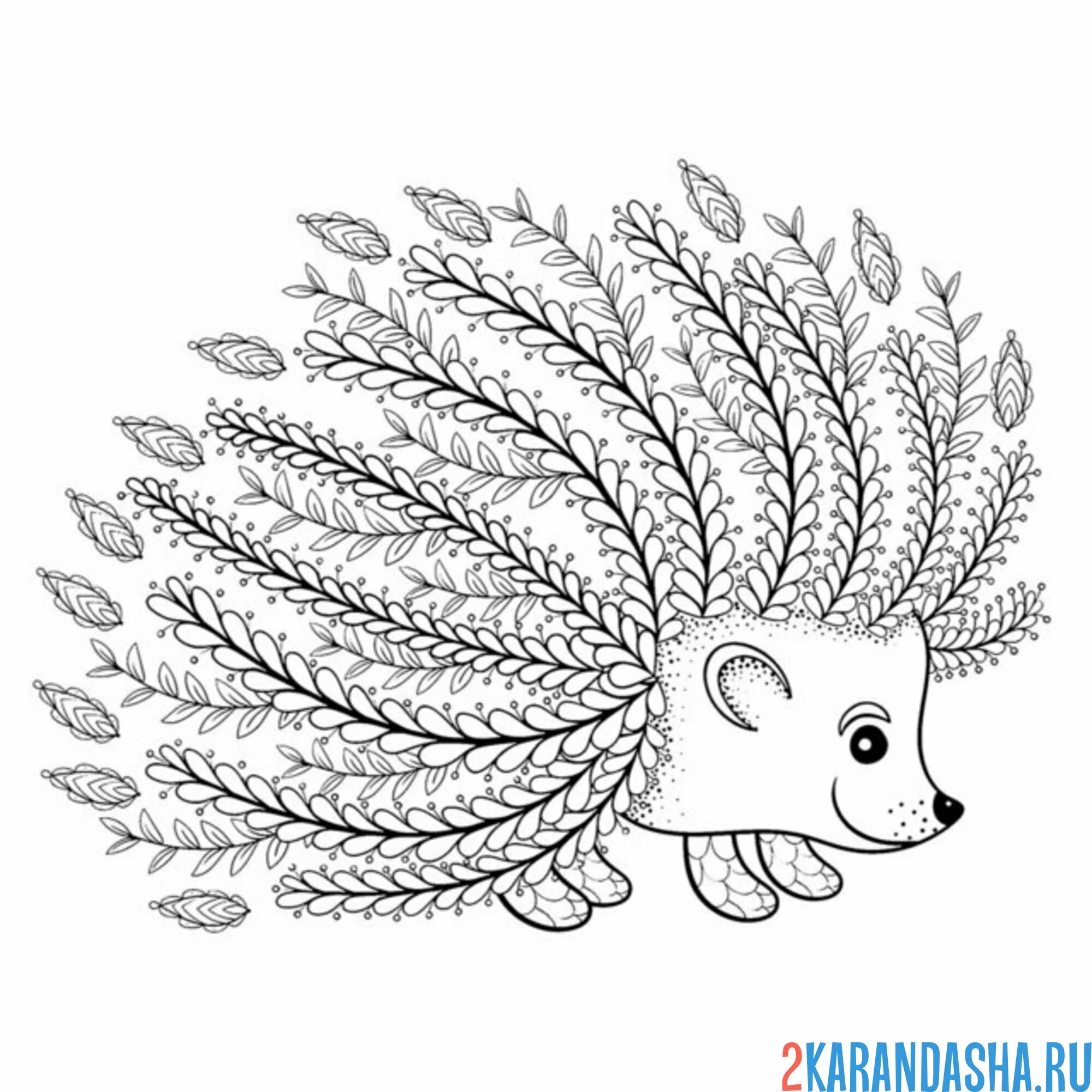 Раскраска ежик арт