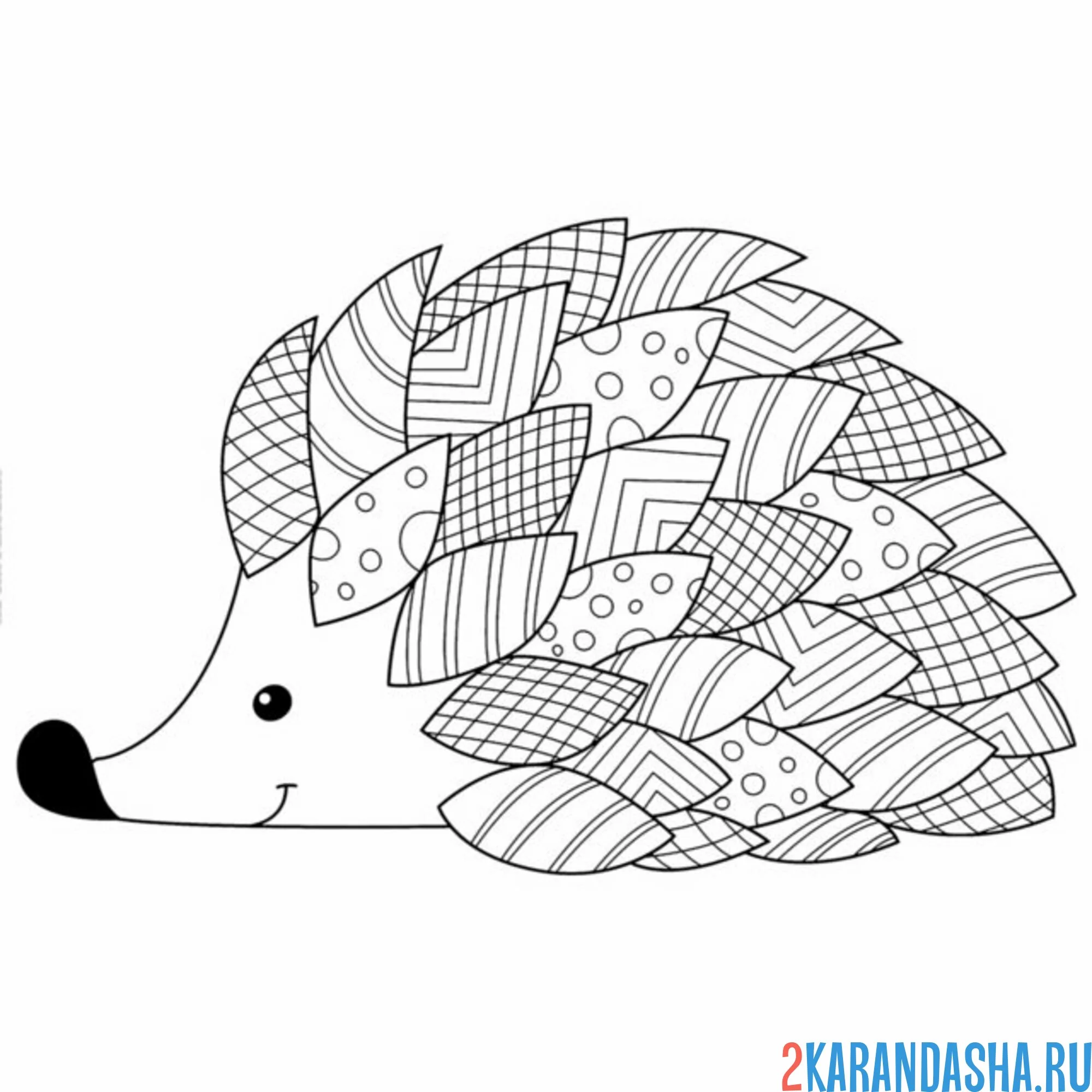 Раскраска ежик узоры вместо иголок