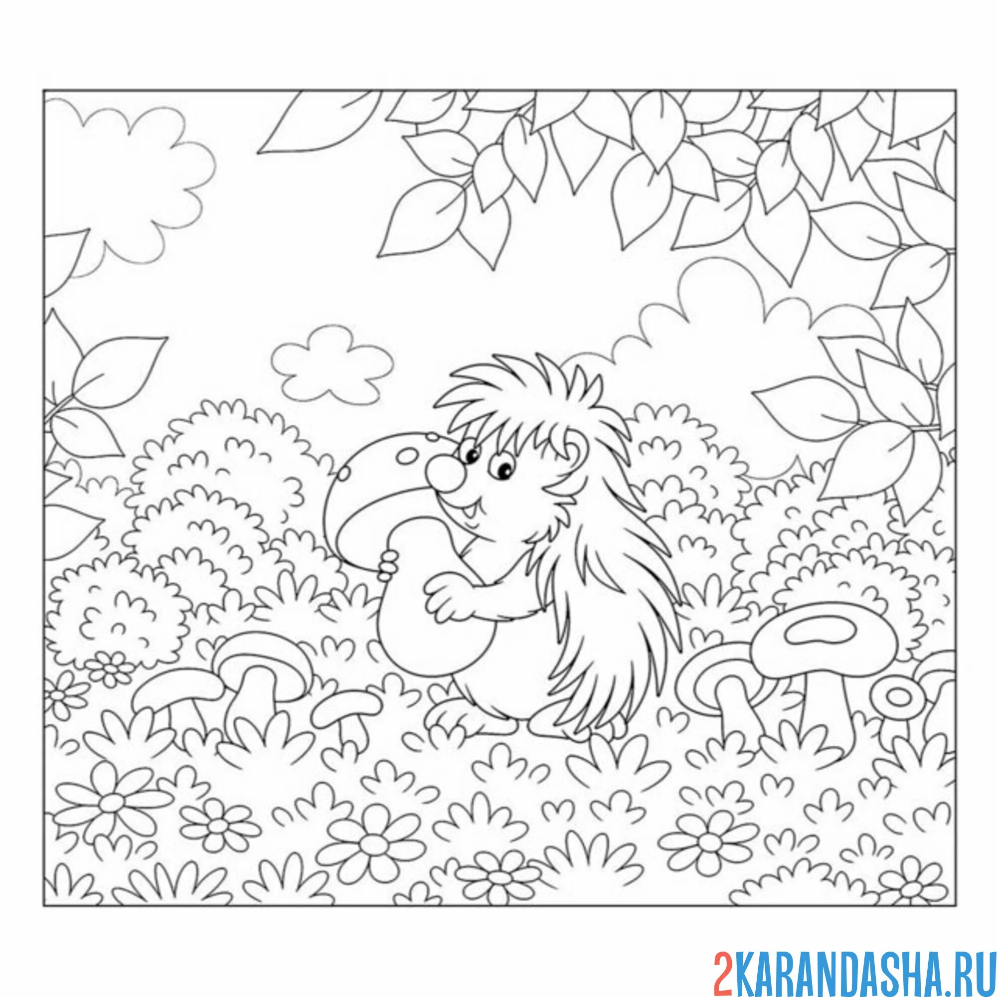 Раскраска ежик в лесу с грибами