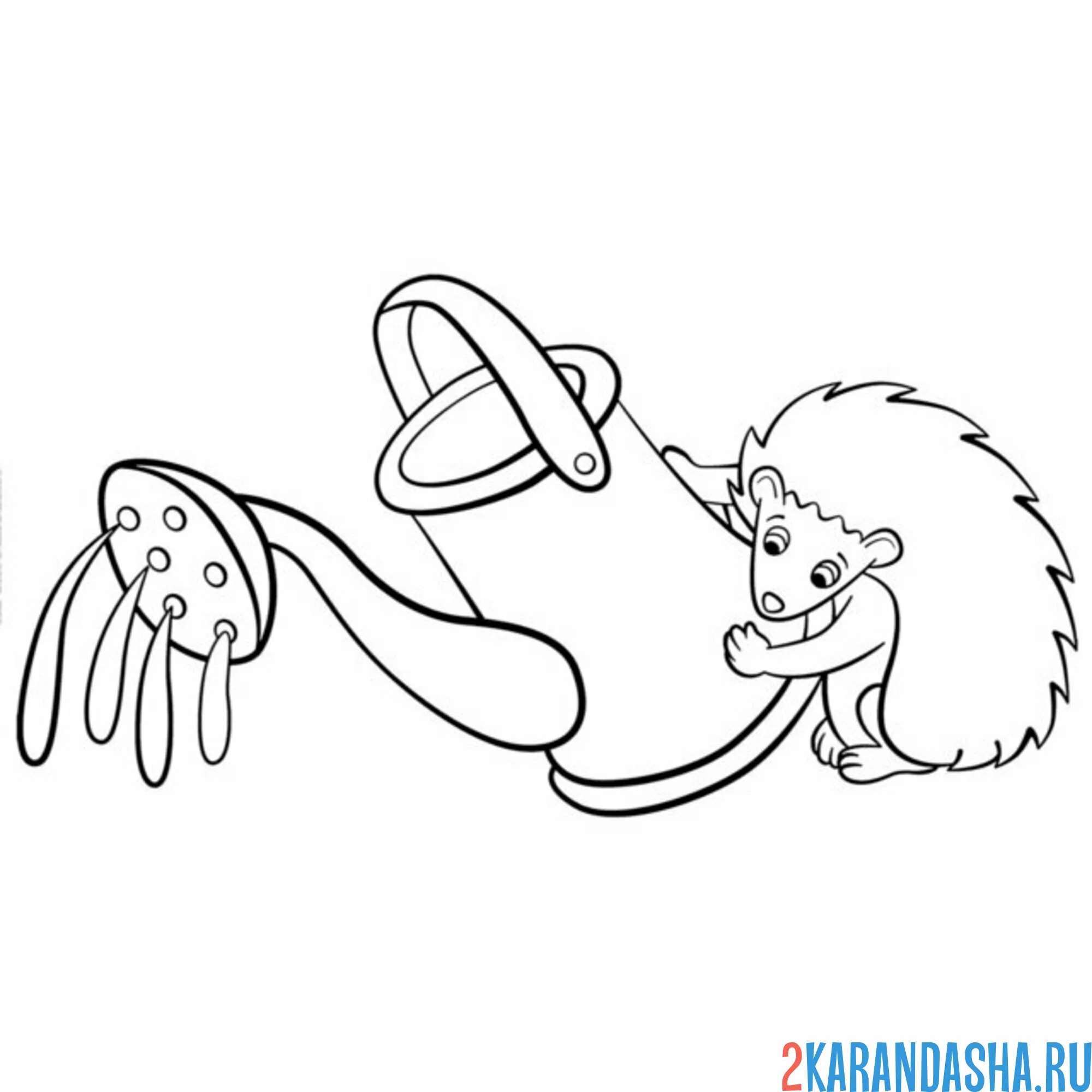 Раскраска ежик поливает из лейки