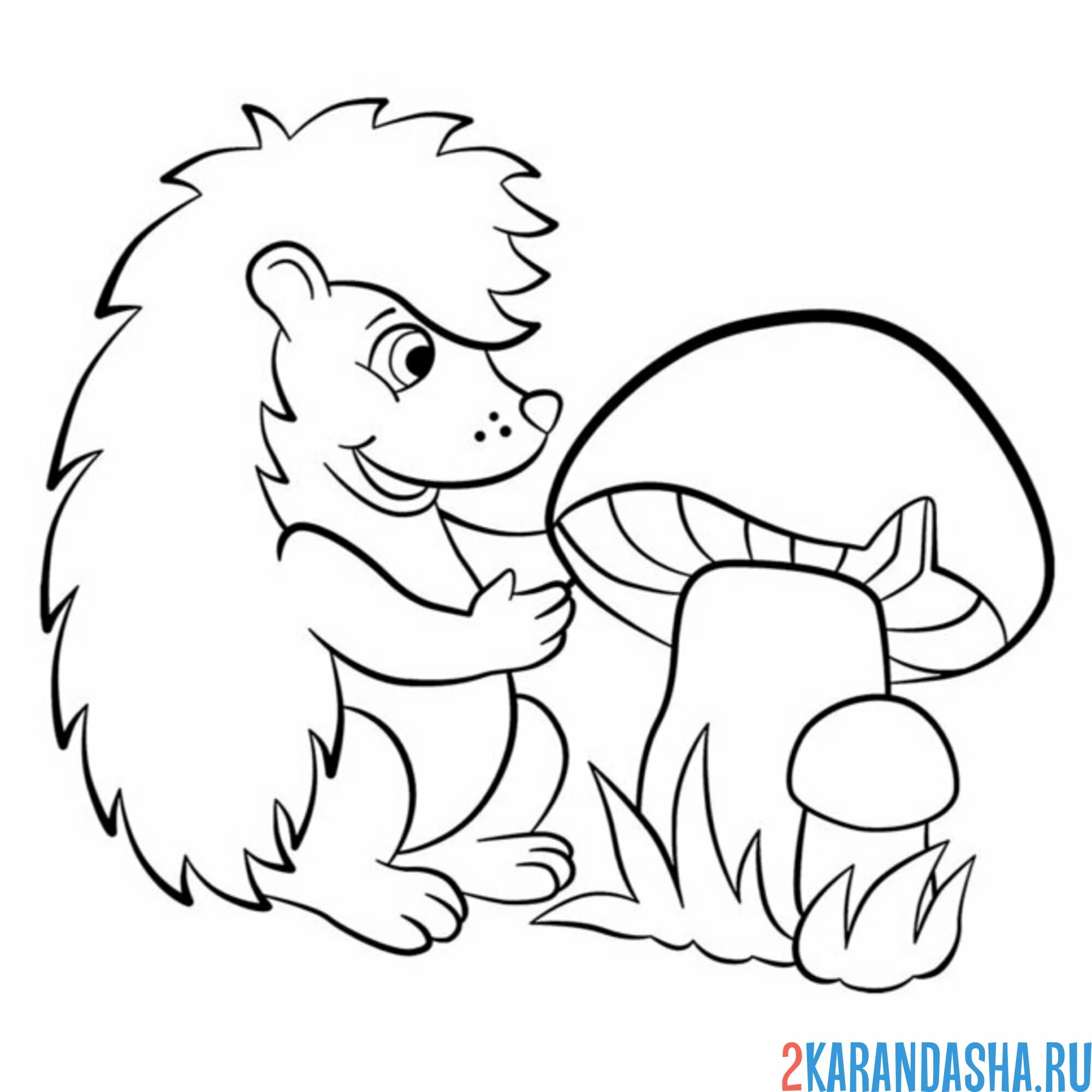 Раскраска ежик нашел большой гриб