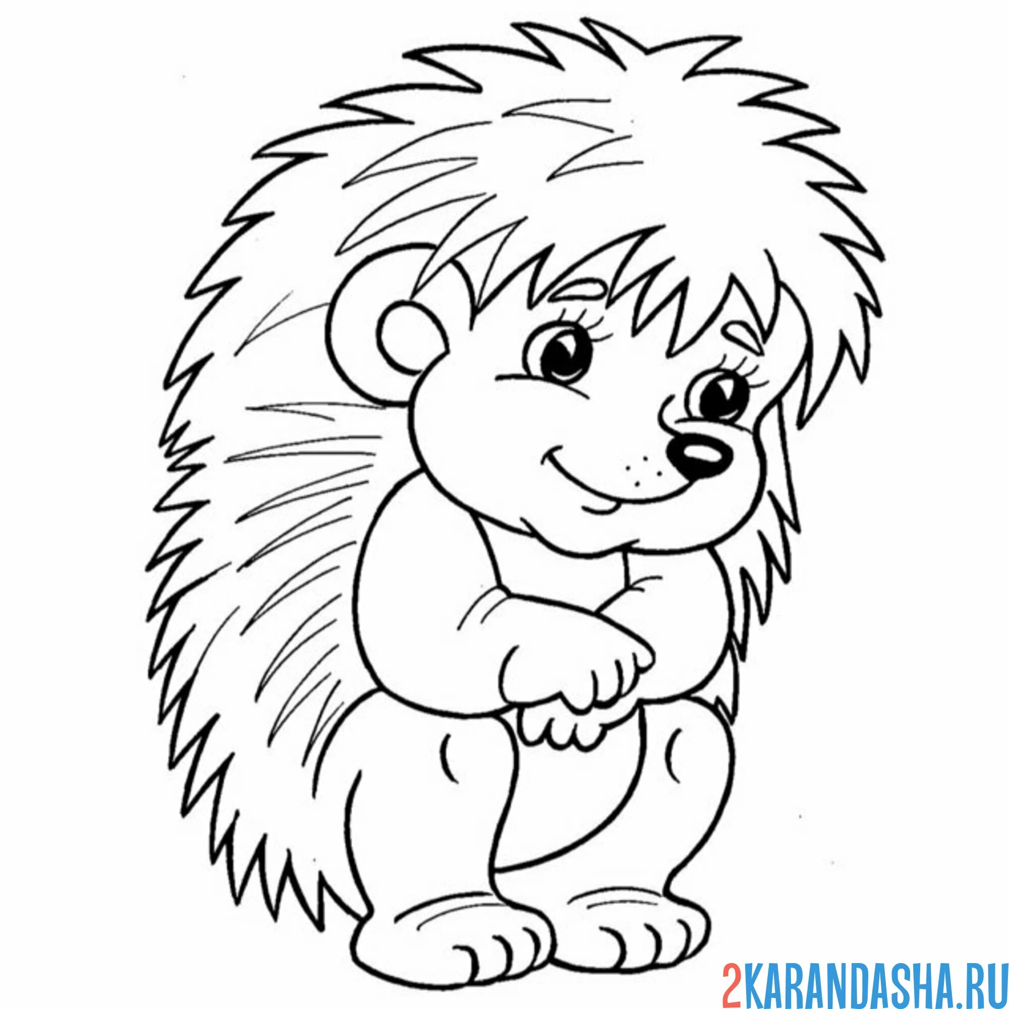 Раскраска ежик присел