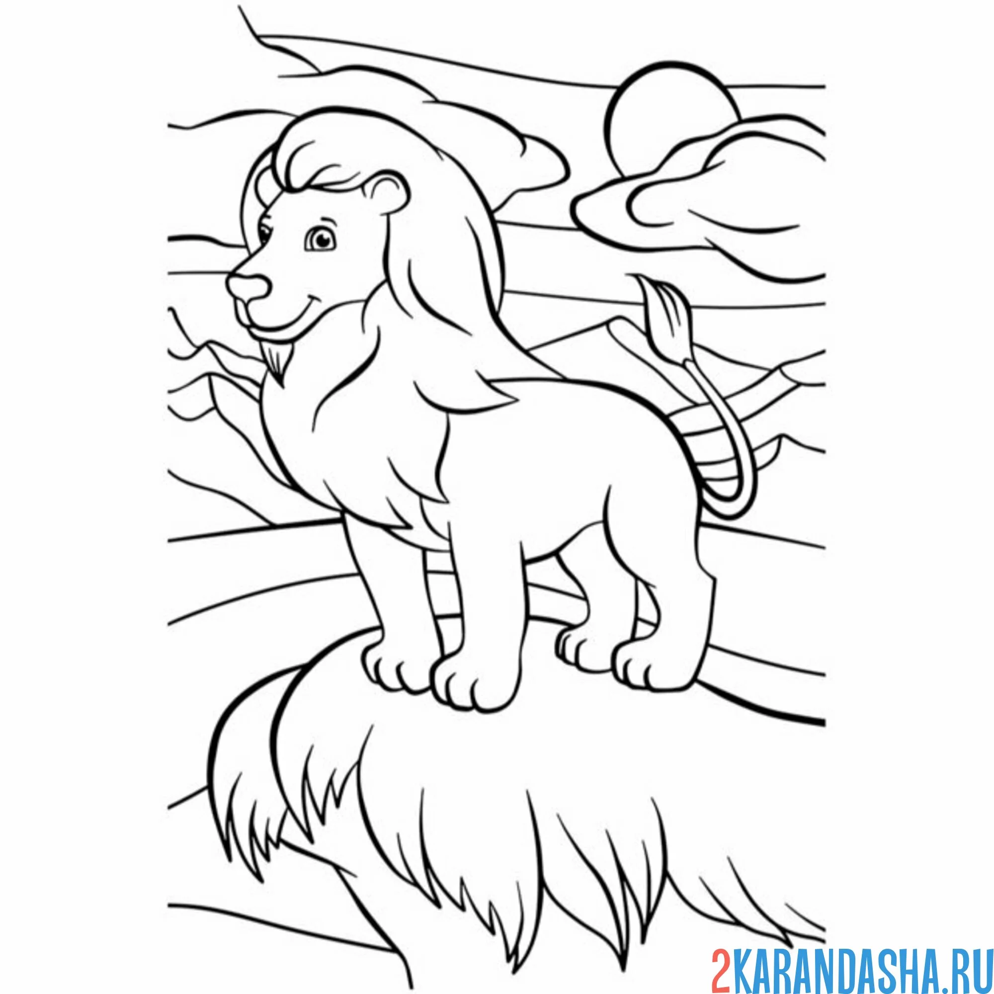 Раскраска лев в саванне