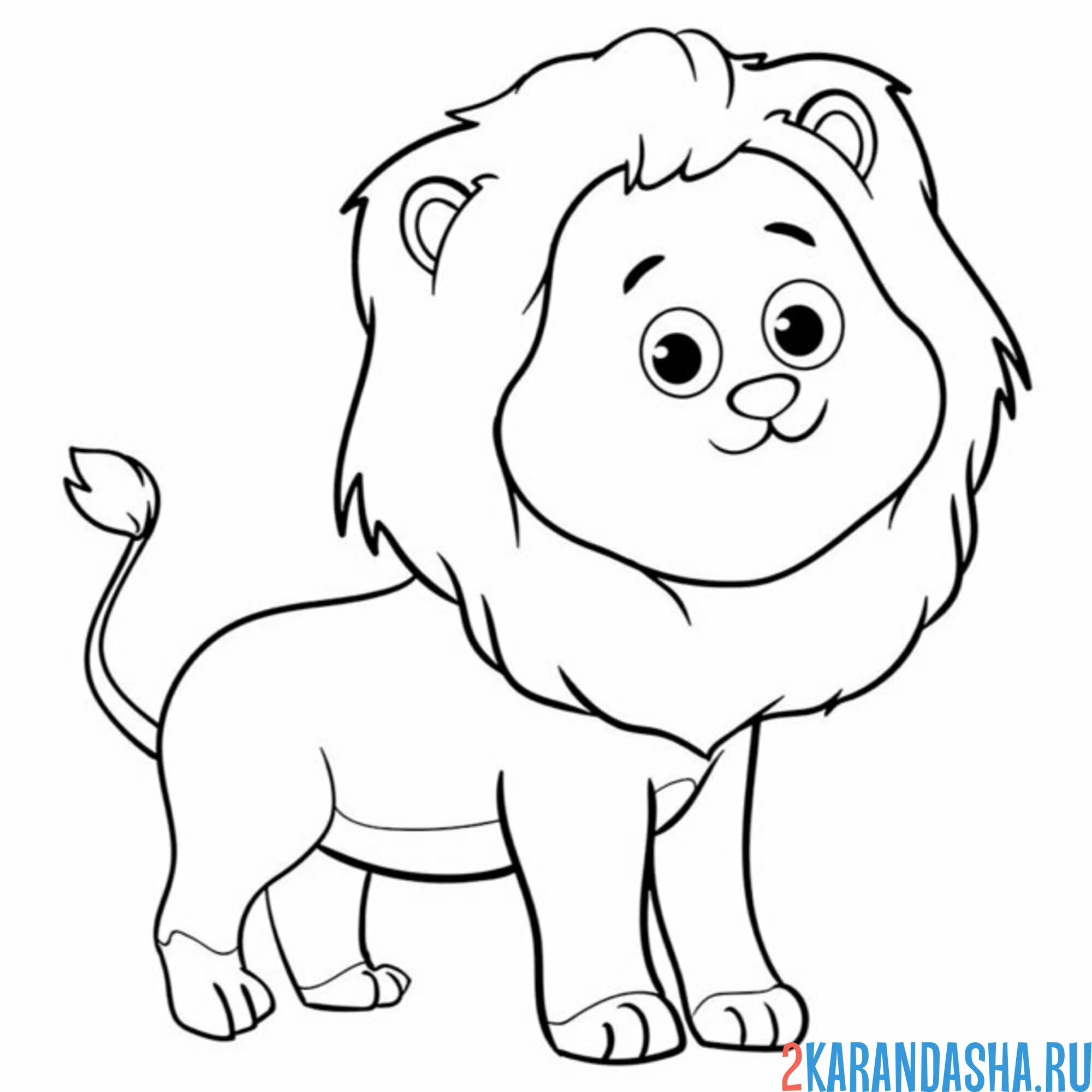 Раскраска добрый лев с гривой