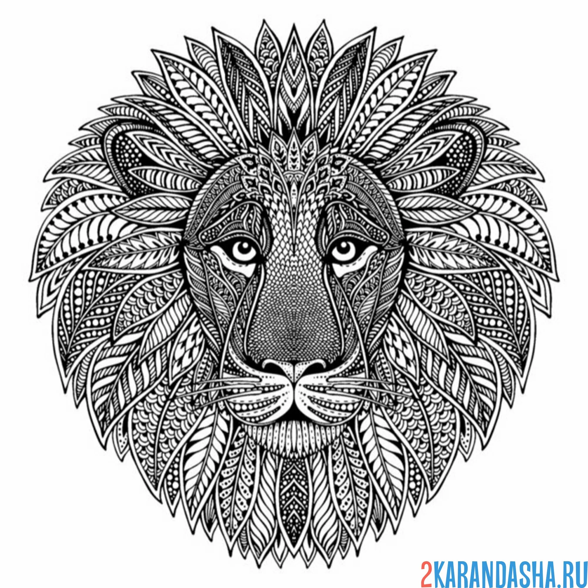 Раскраска голова льва антистресс