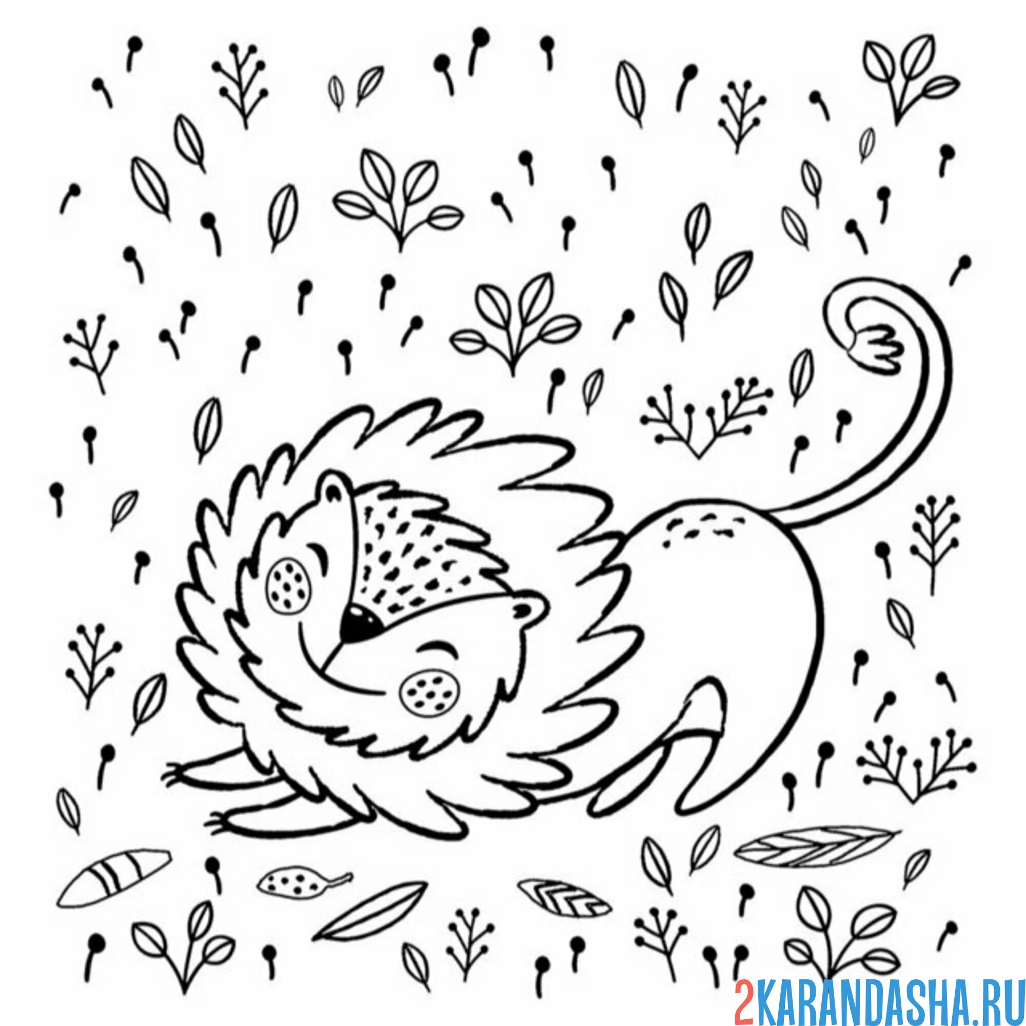 Раскраска смешной лев