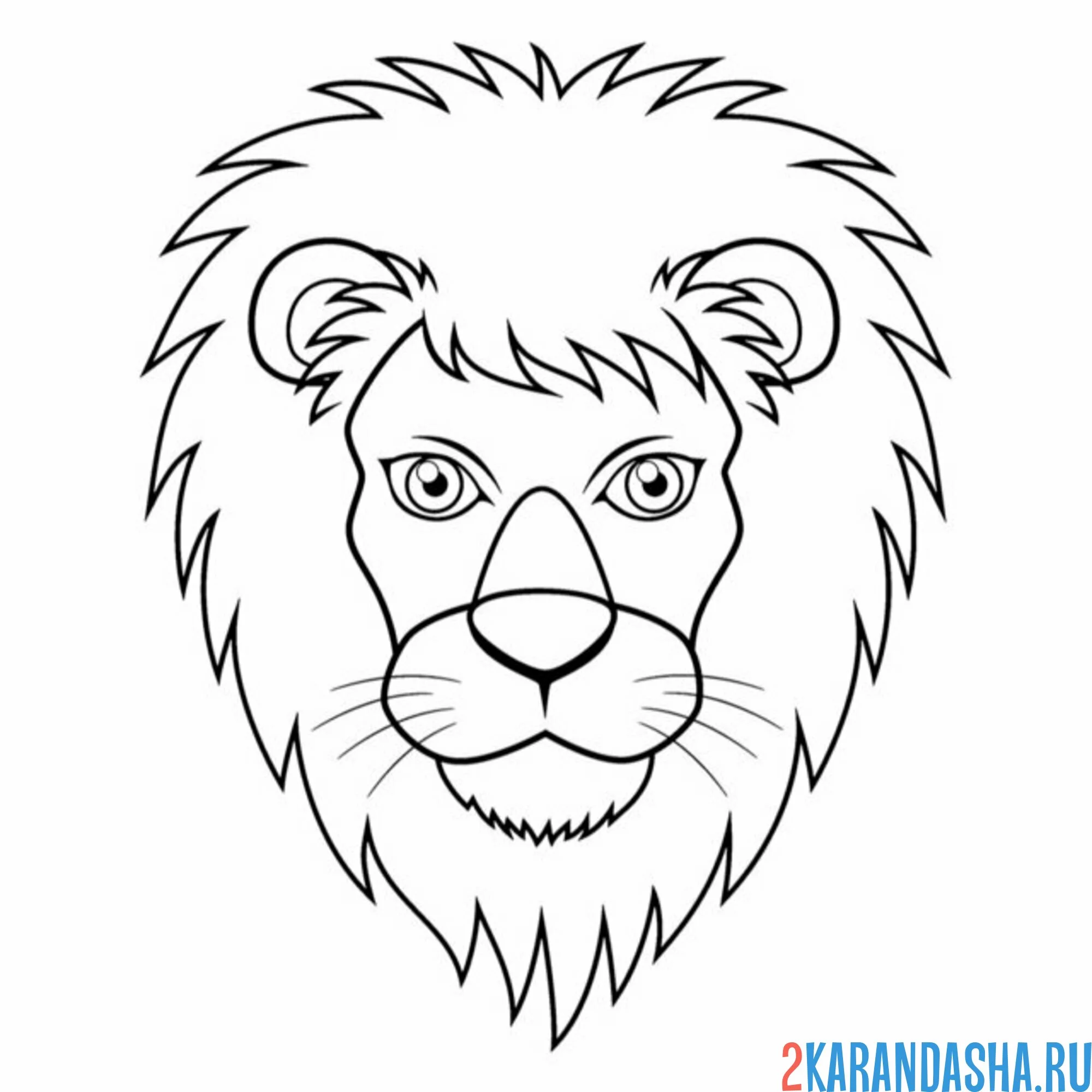 Раскраска голова льва грива