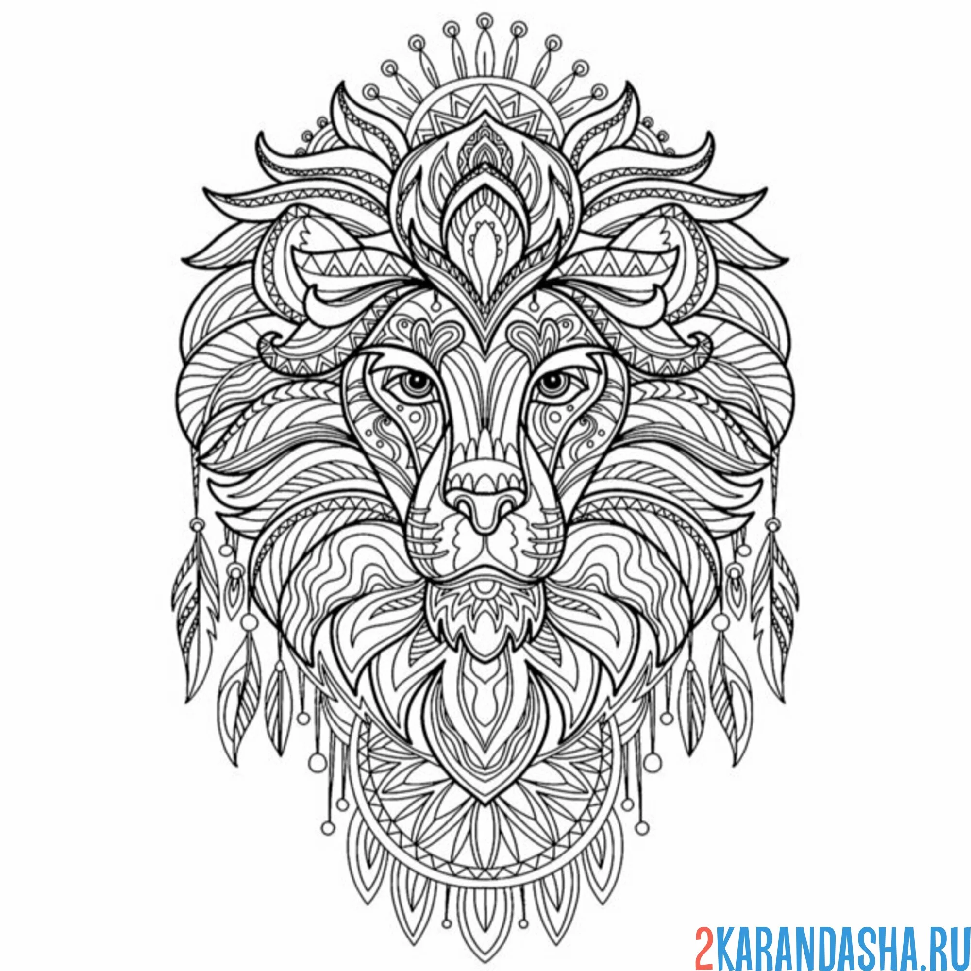 Раскраска антистресс лев