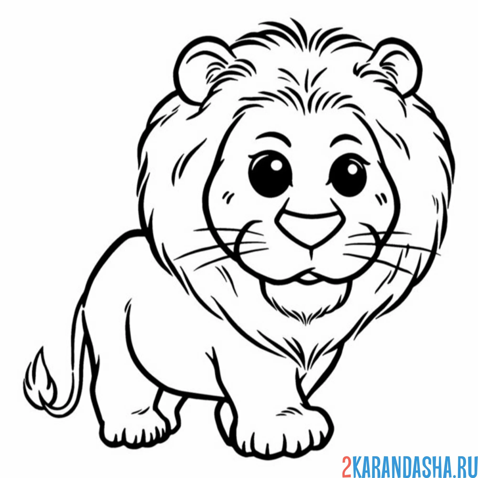 Раскраска маленький лев с гривой