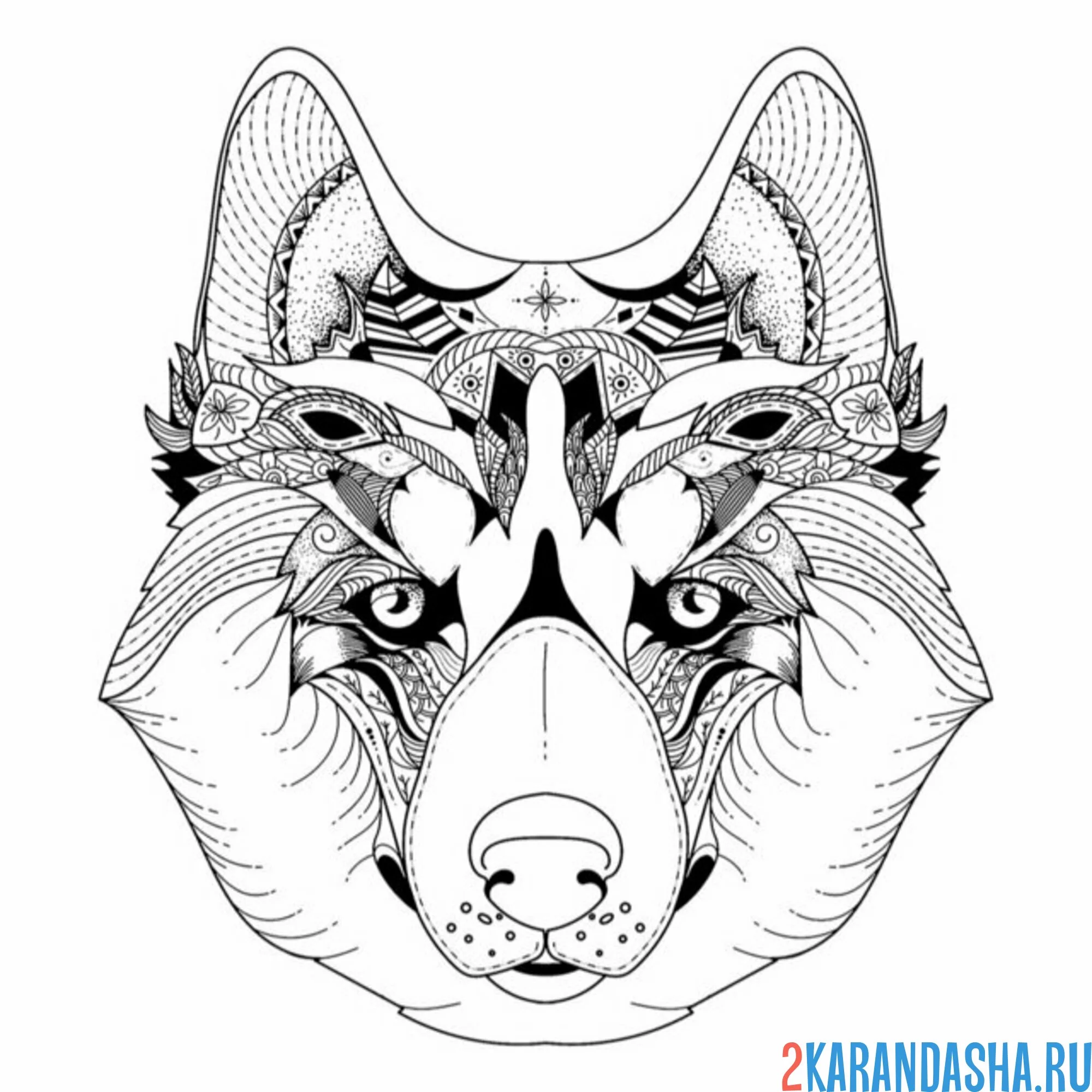 Раскраска серьезный волк антистресс