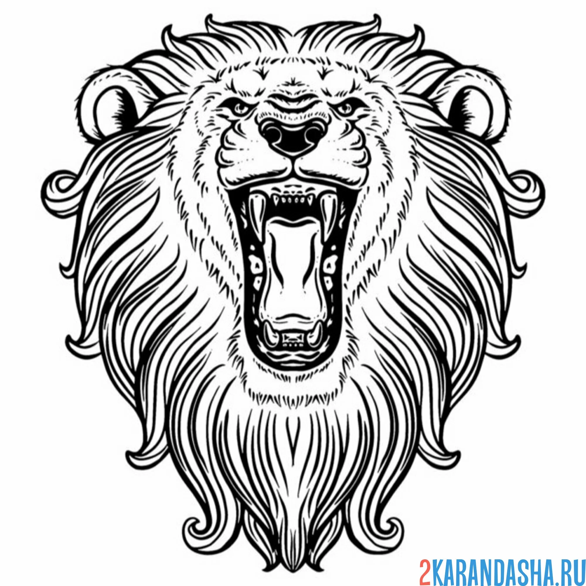 Раскраска лев рычит