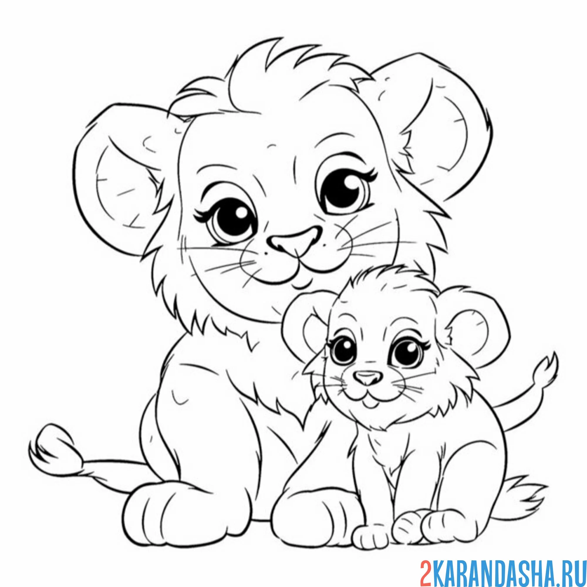 Раскраска лев и львенок семья