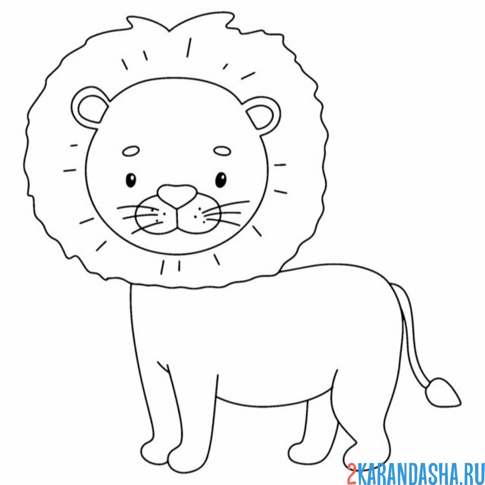 Раскраска лев сбоку
