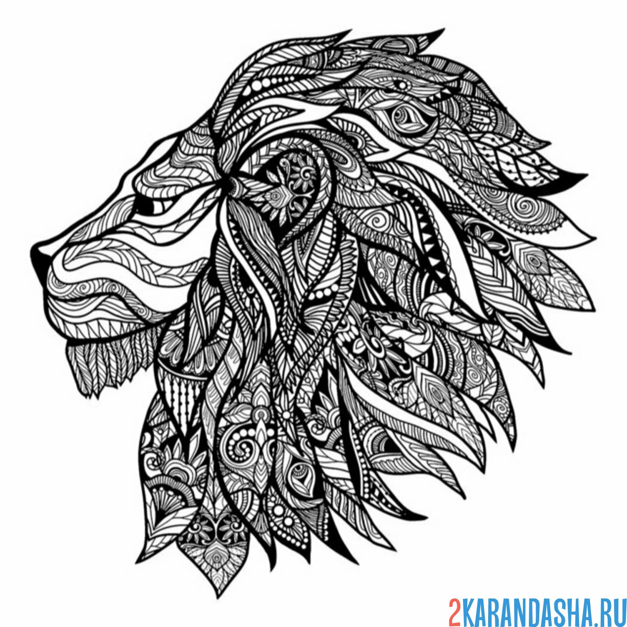 Раскраска опасный лев антистресс