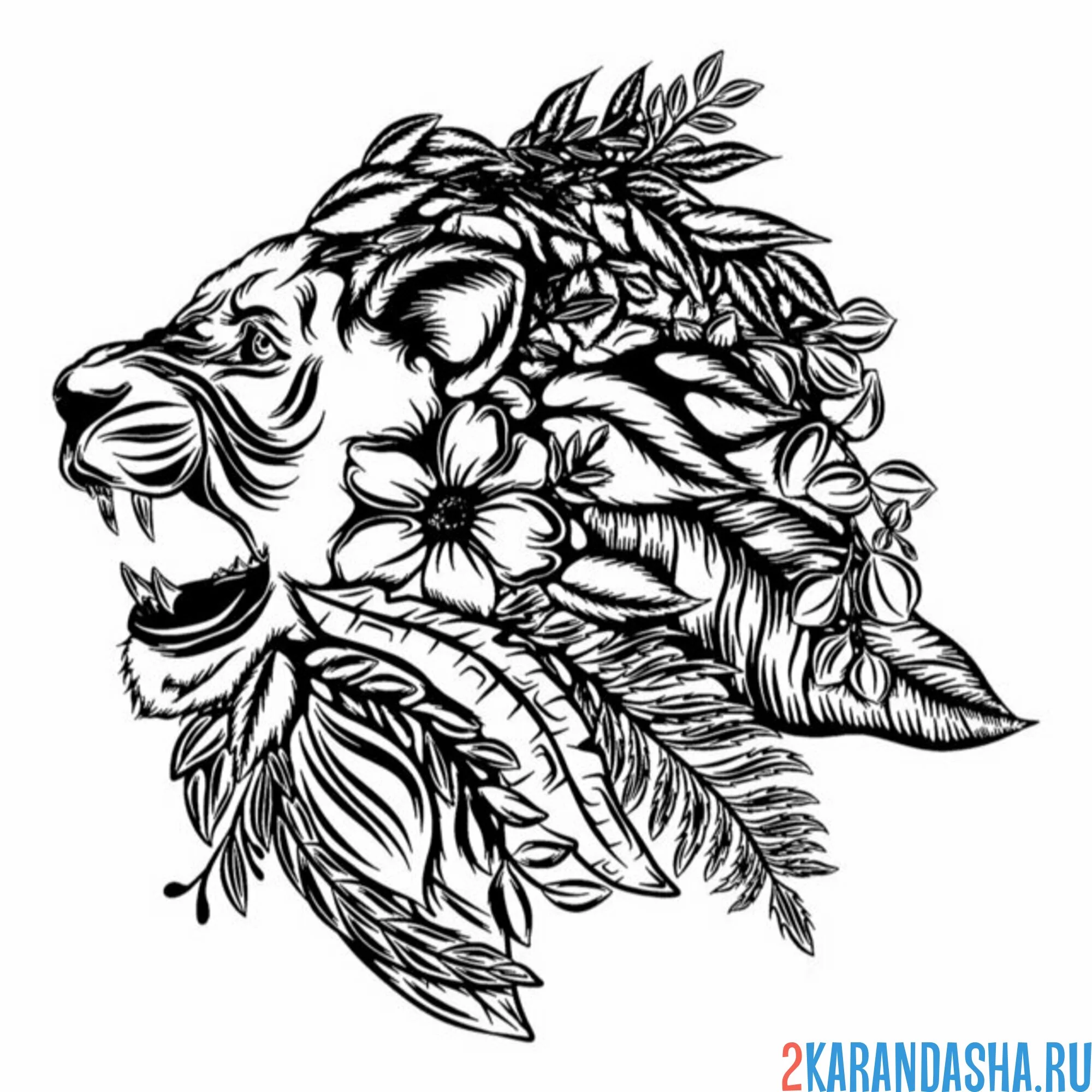 Раскраска лев рычит антистресс