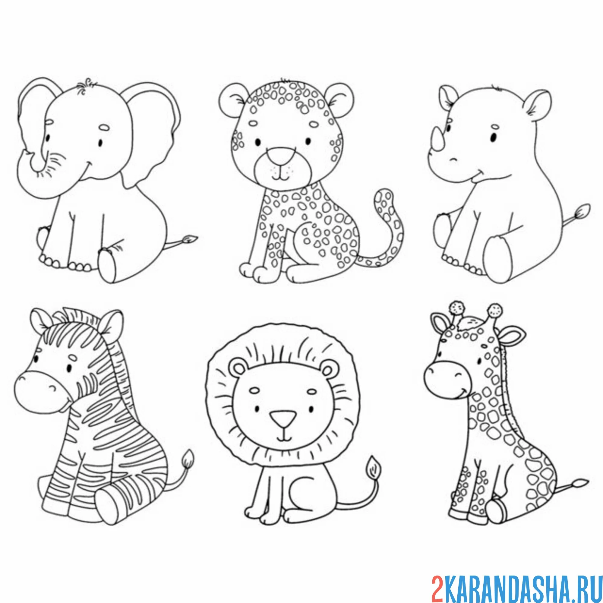 Раскраска звери слон, тигр, носорог, зебра, лев и жираф