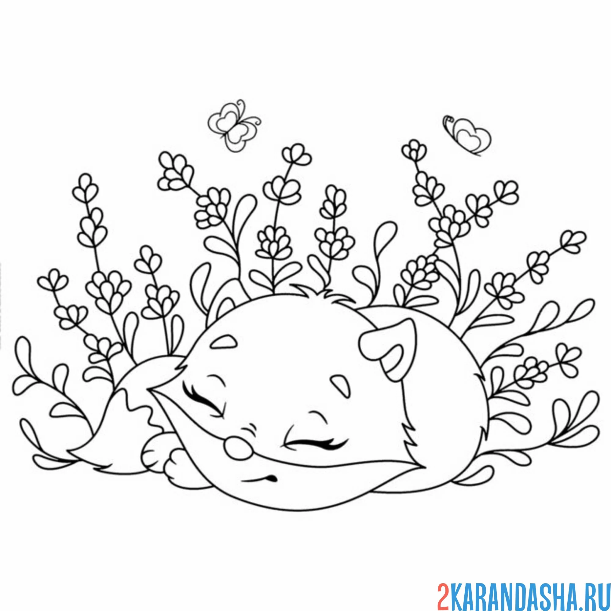 Раскраска лиса спит в цветочках