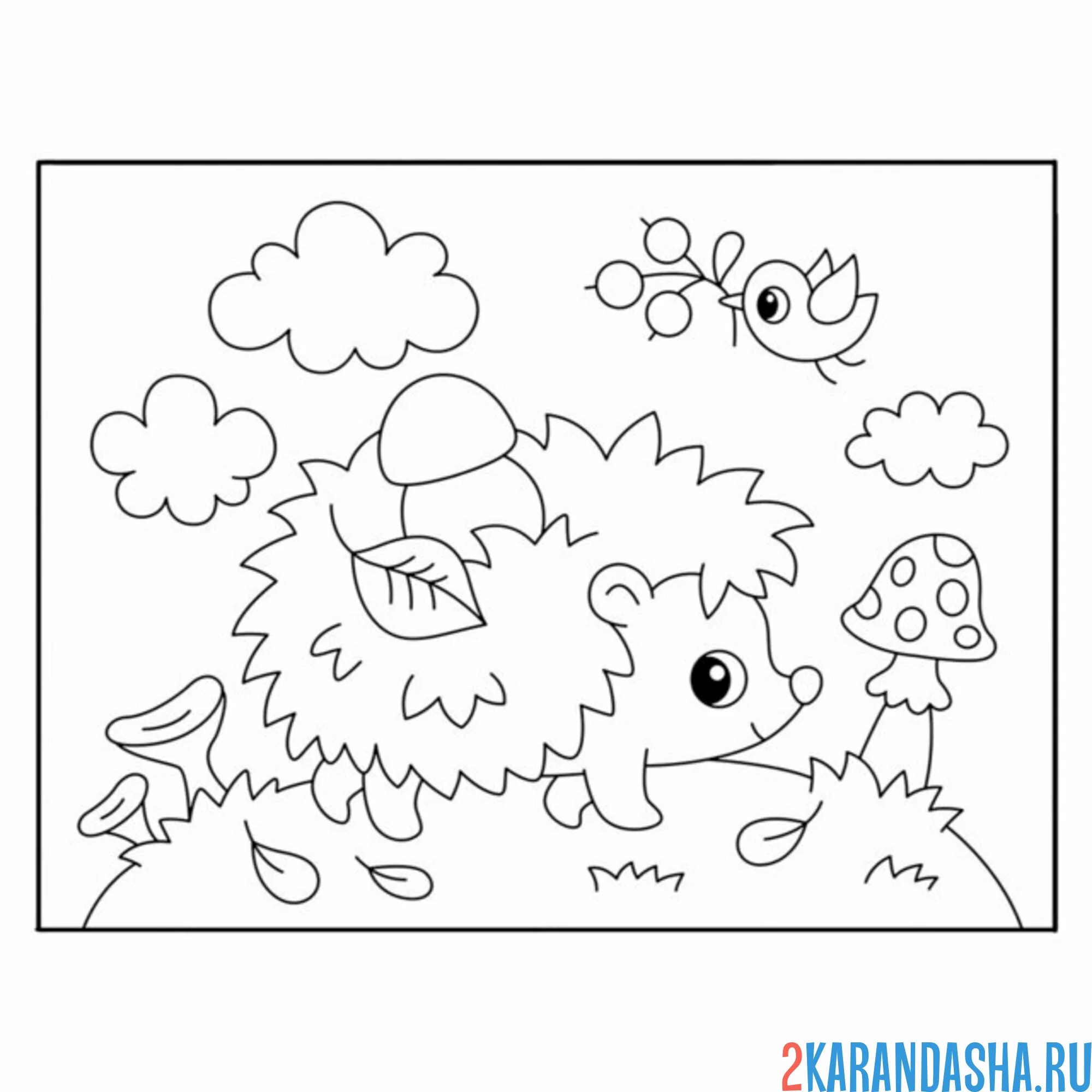 Раскраска ежик и птичка