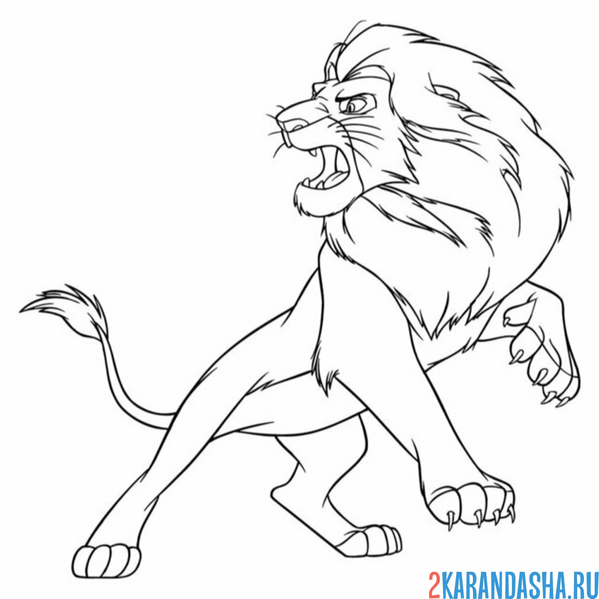 Раскраска лев опасный рычит
