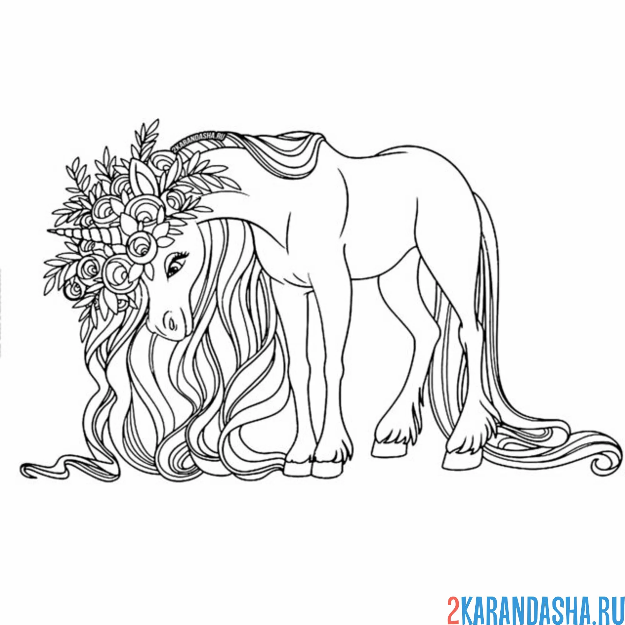 Раскраска единорог длинная грива и цветы