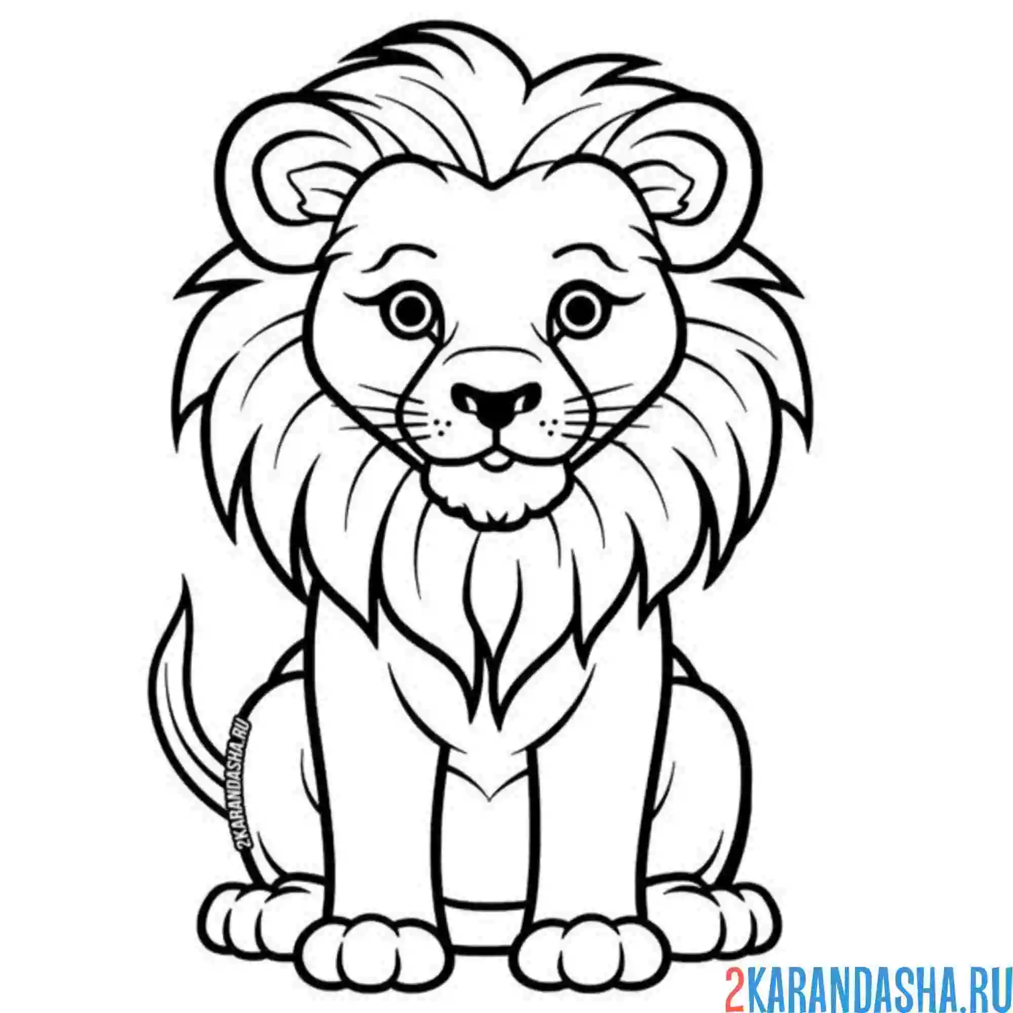 Раскраска взрослый львенок с гривой