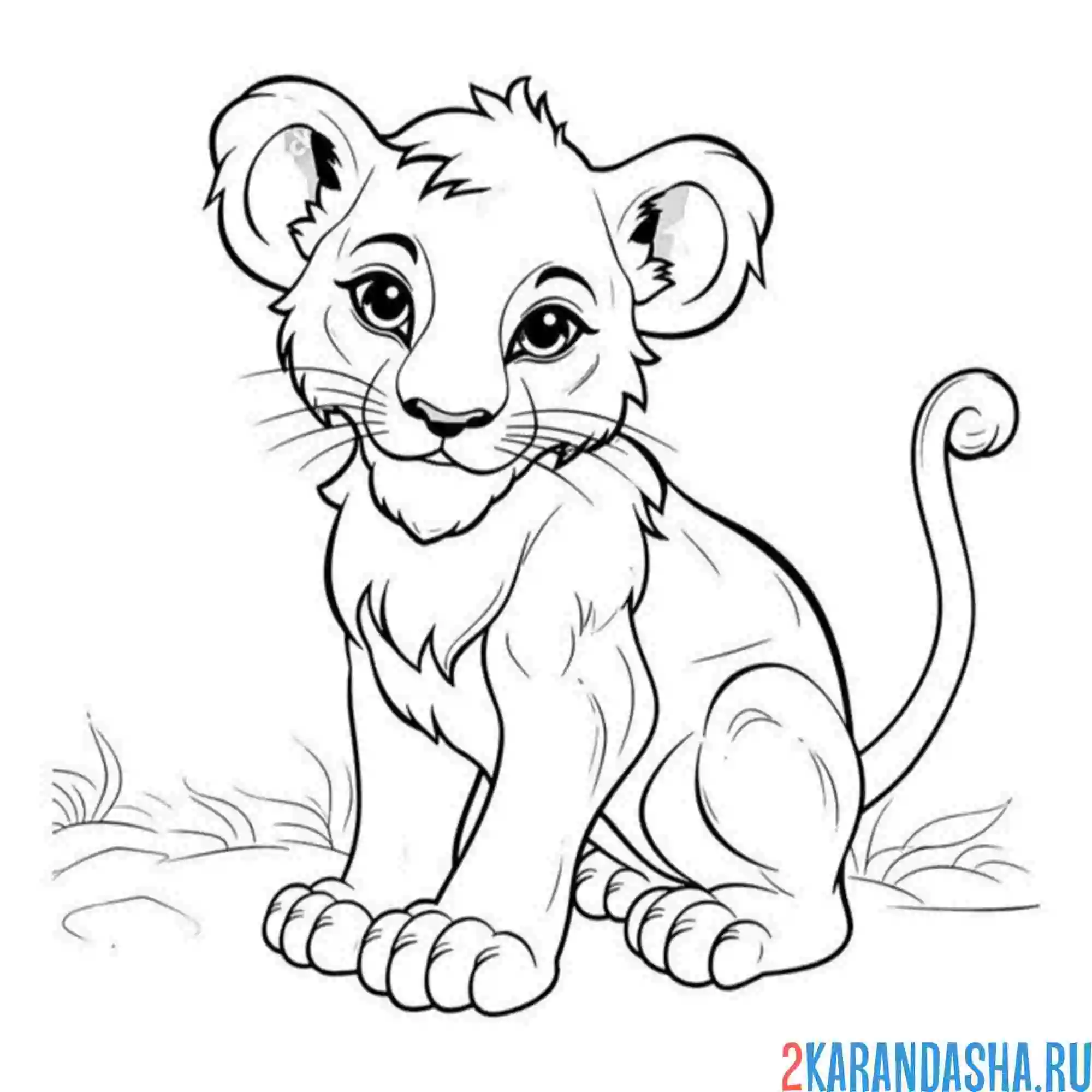 Раскраска львенок-малыш
