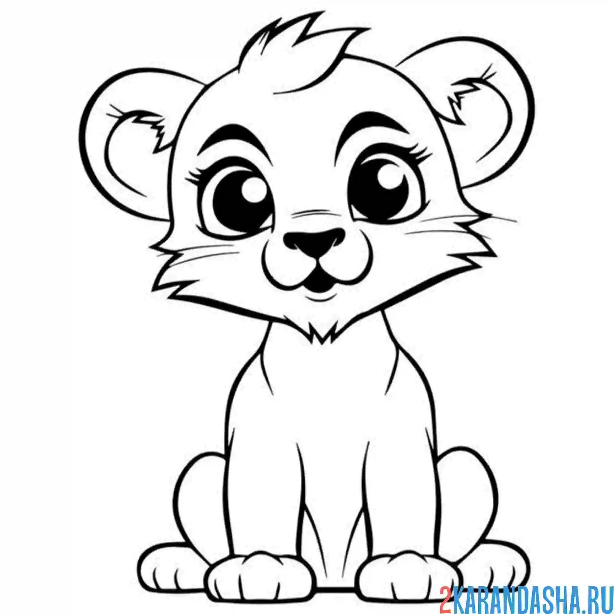 Раскраска львенок без гривы