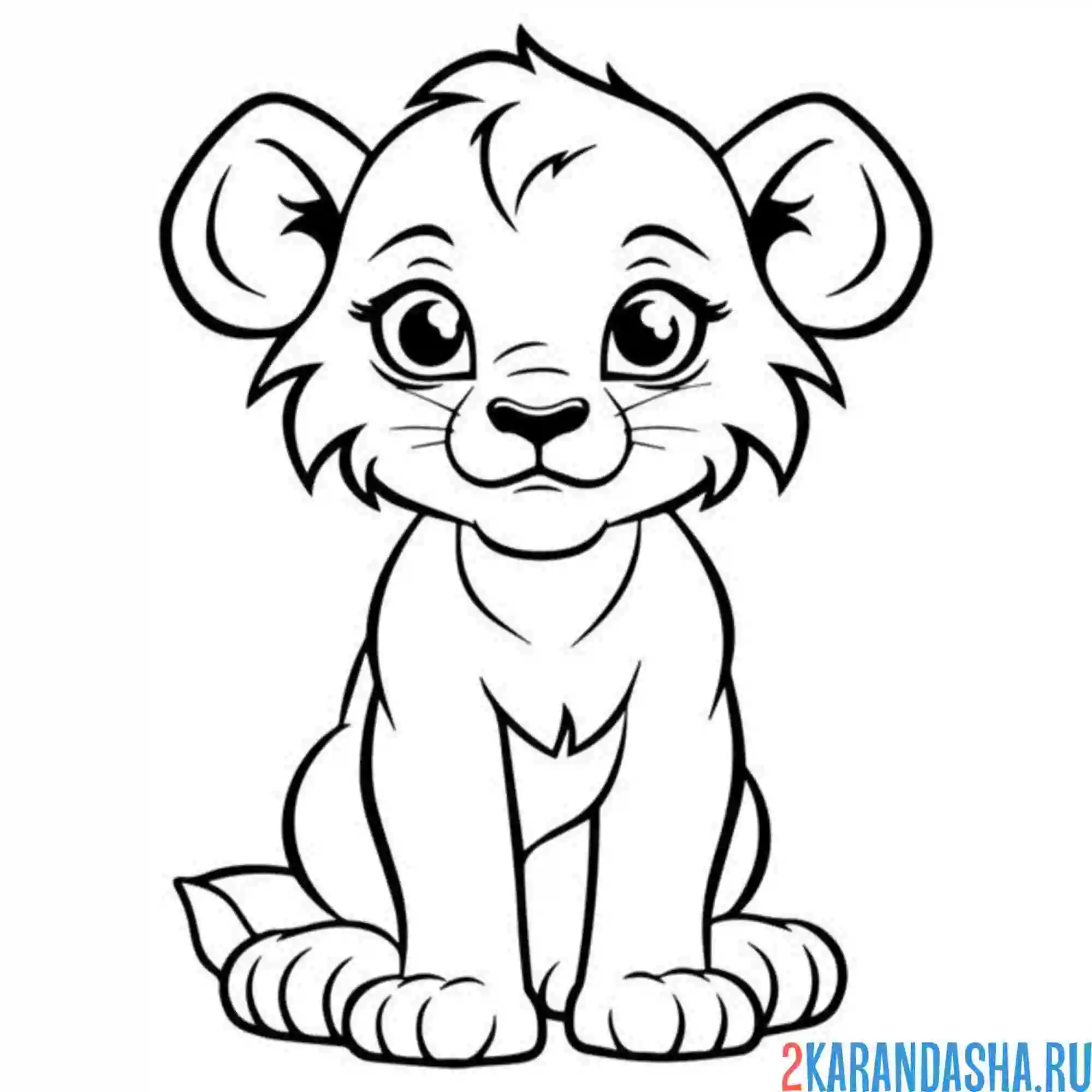 Раскраска львенок скоро станет львом