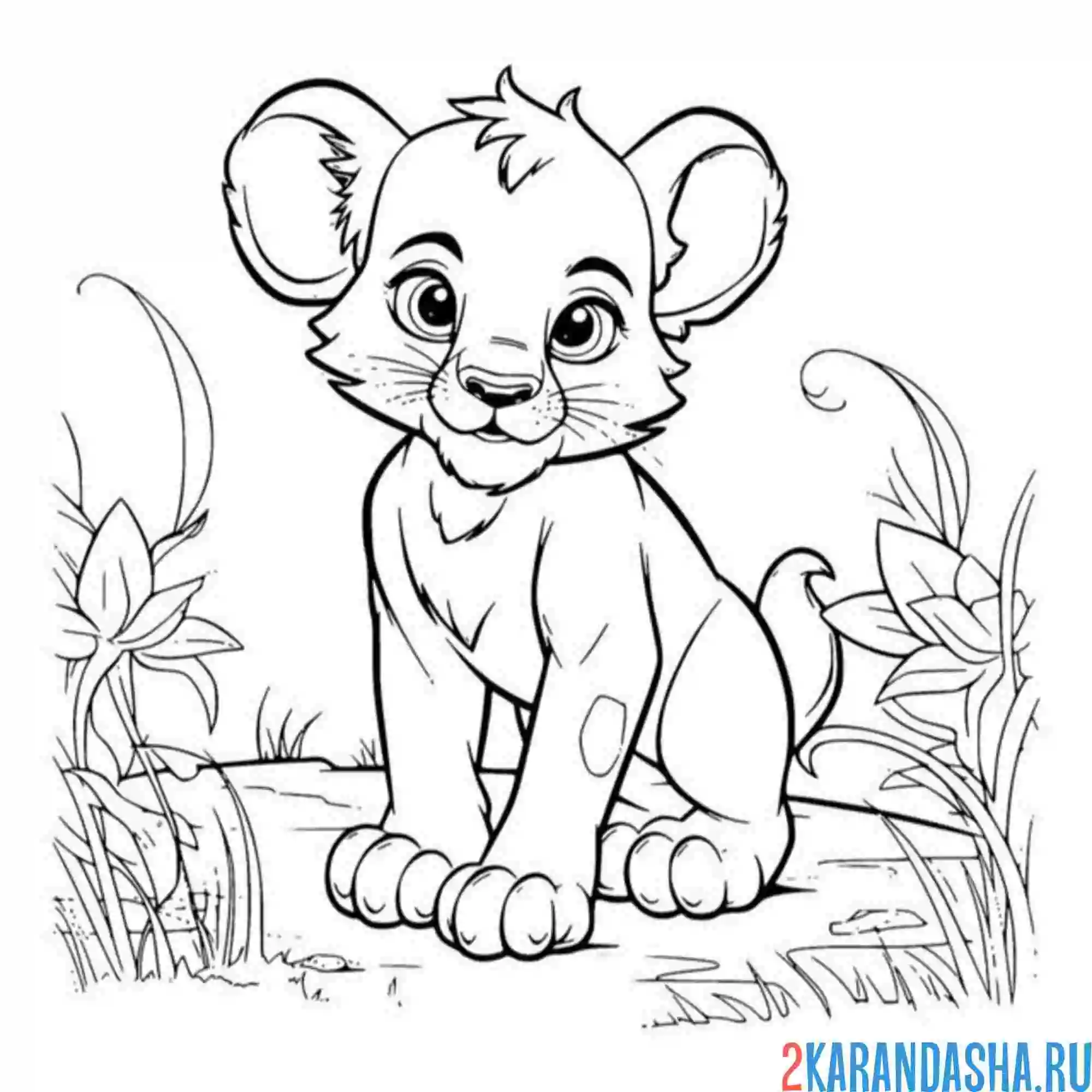 Раскраска львенок в траве