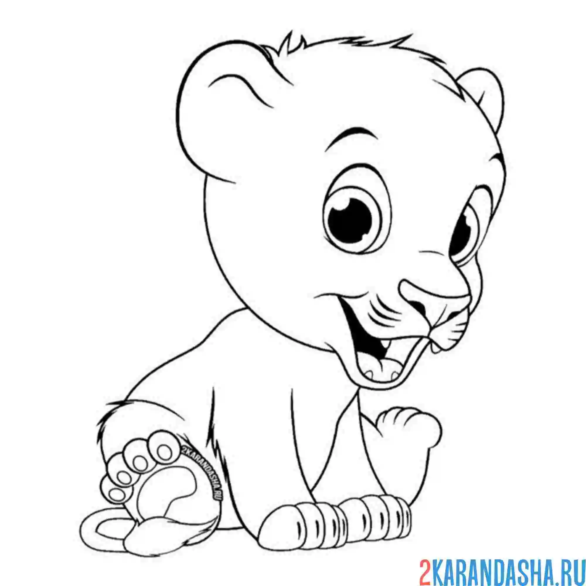 Раскраска маленький милый львенок без гривы