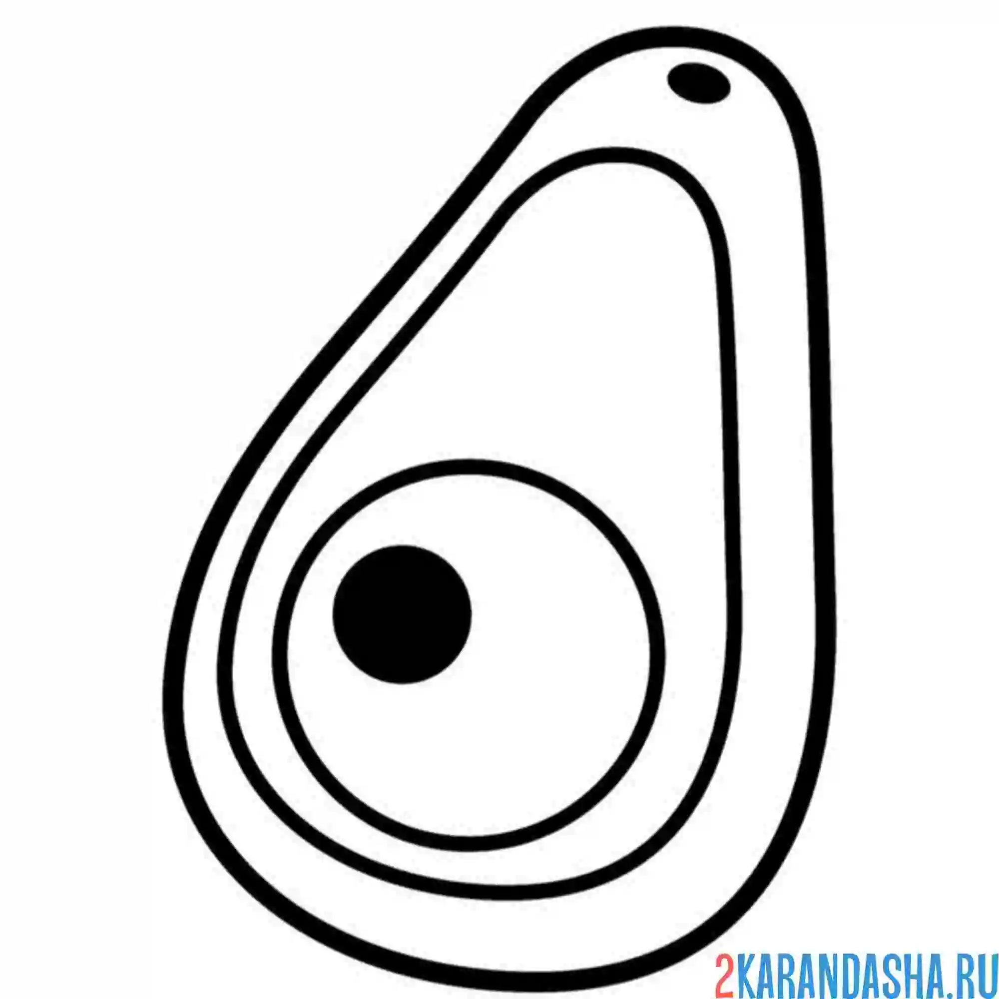 Раскраска фрукт авокадо