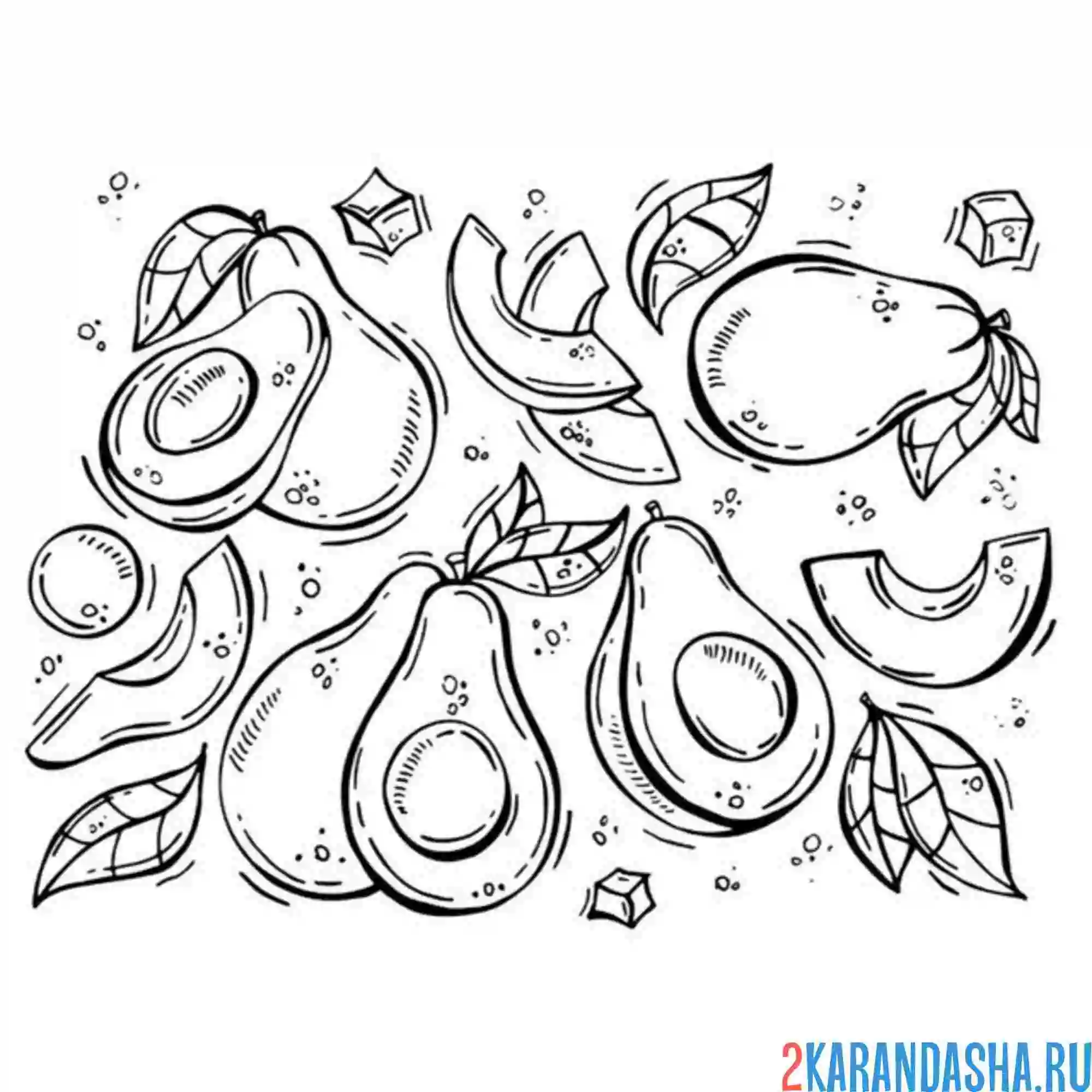 Раскраска много авокадо