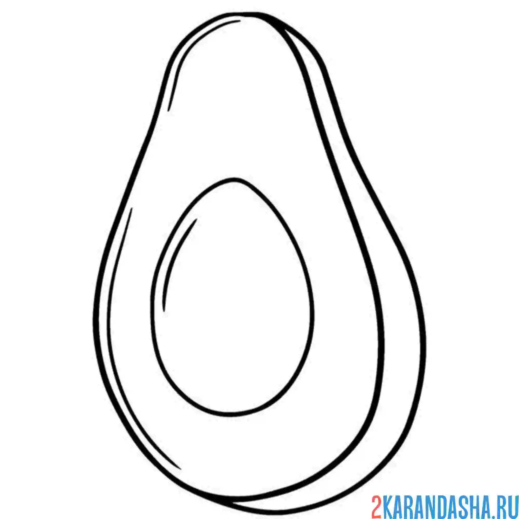 Раскраска авокадо сбоку