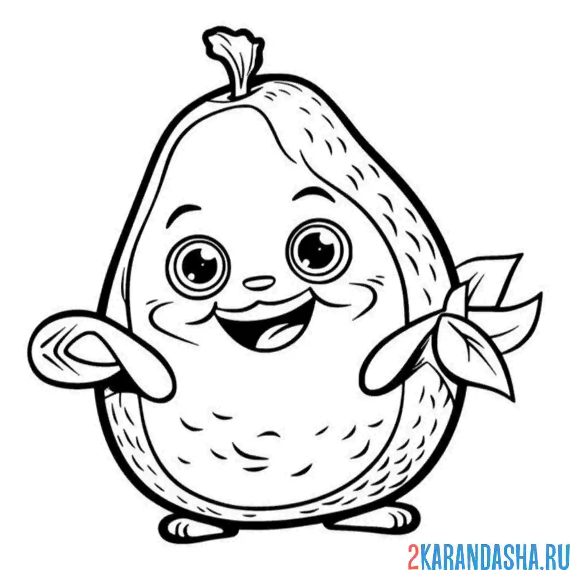 Раскраска авокадо целый