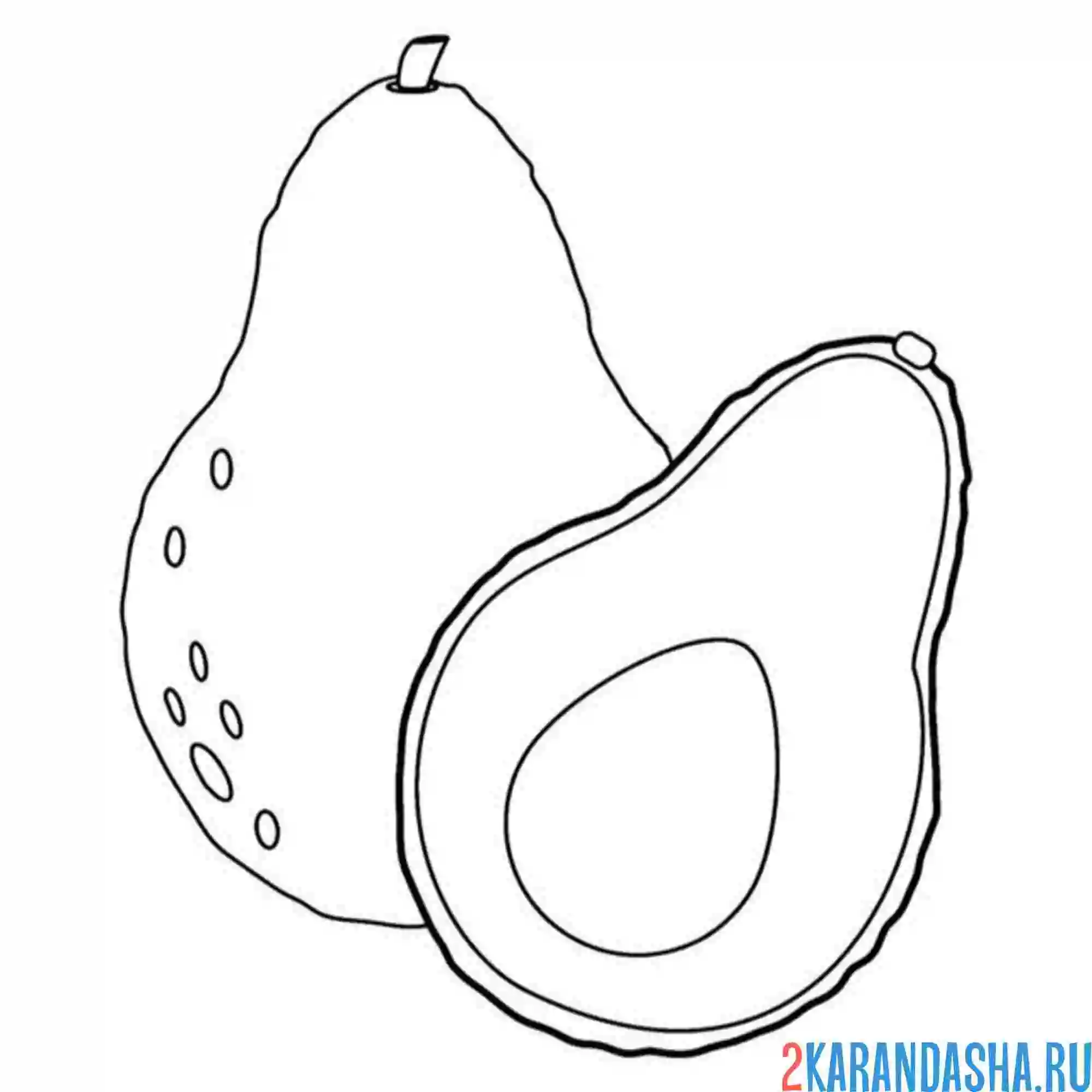 Раскраска настоящее авокадо