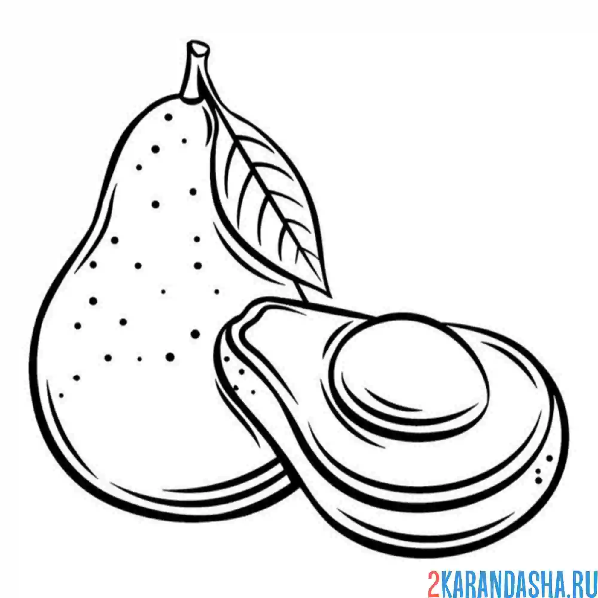 Раскраска спелое авокадо