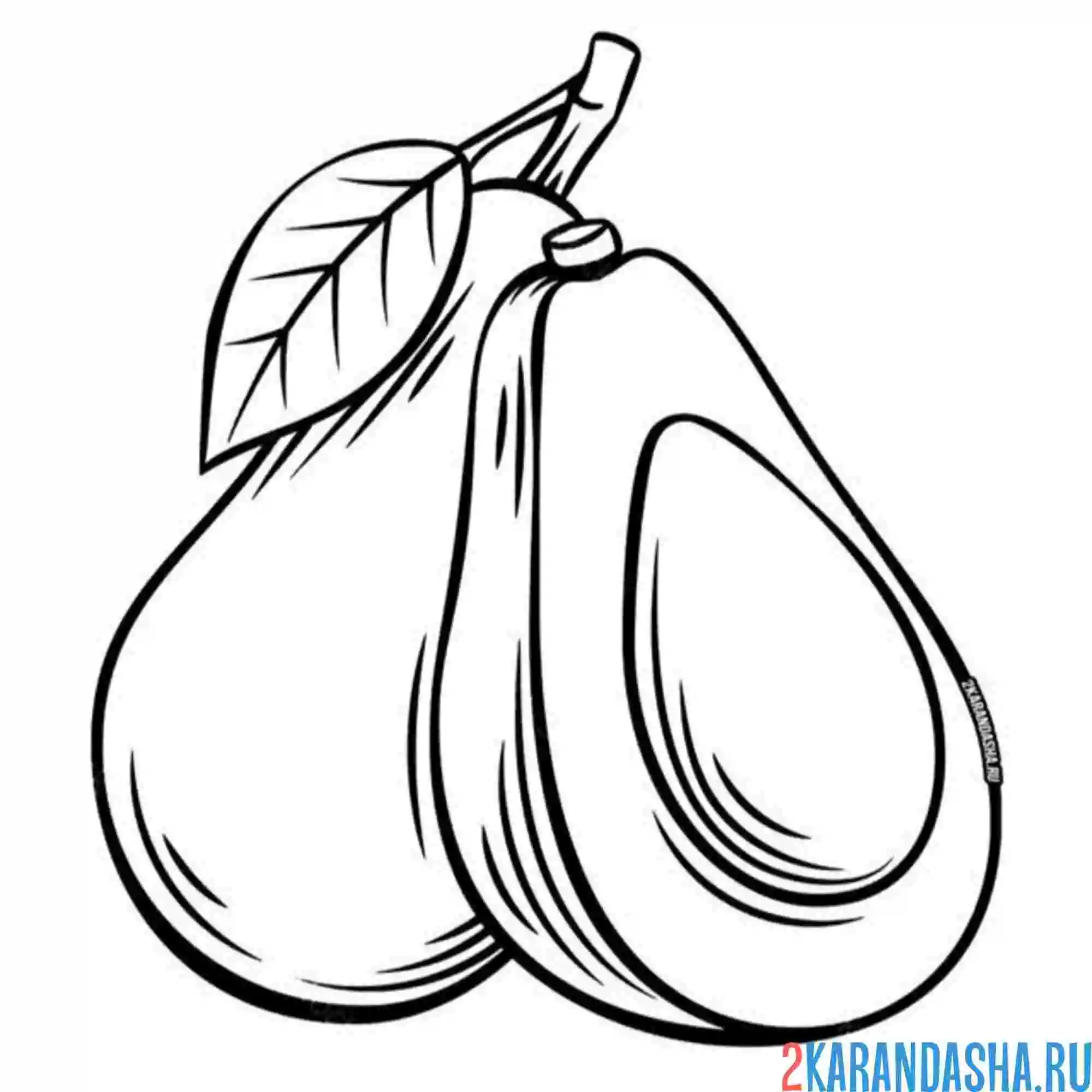 Раскраска сочное авокадо