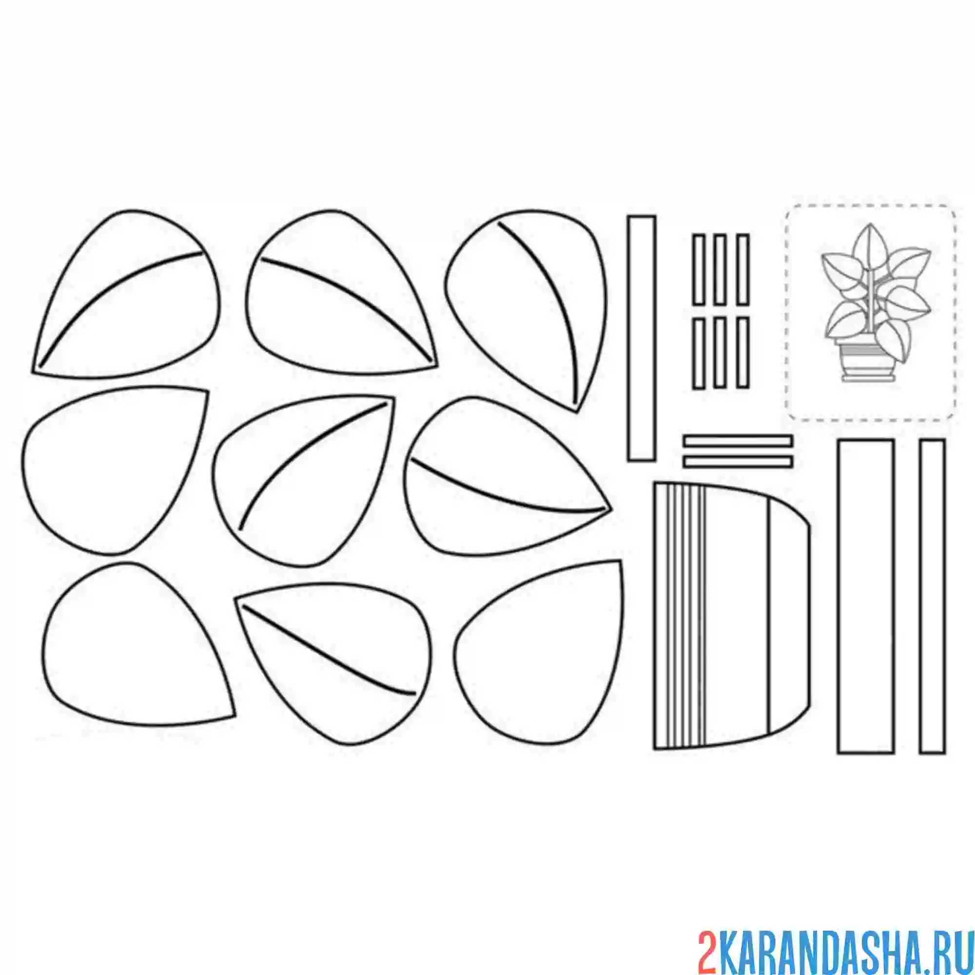Раскраска раскрась, вырежи и склей домашнее растение