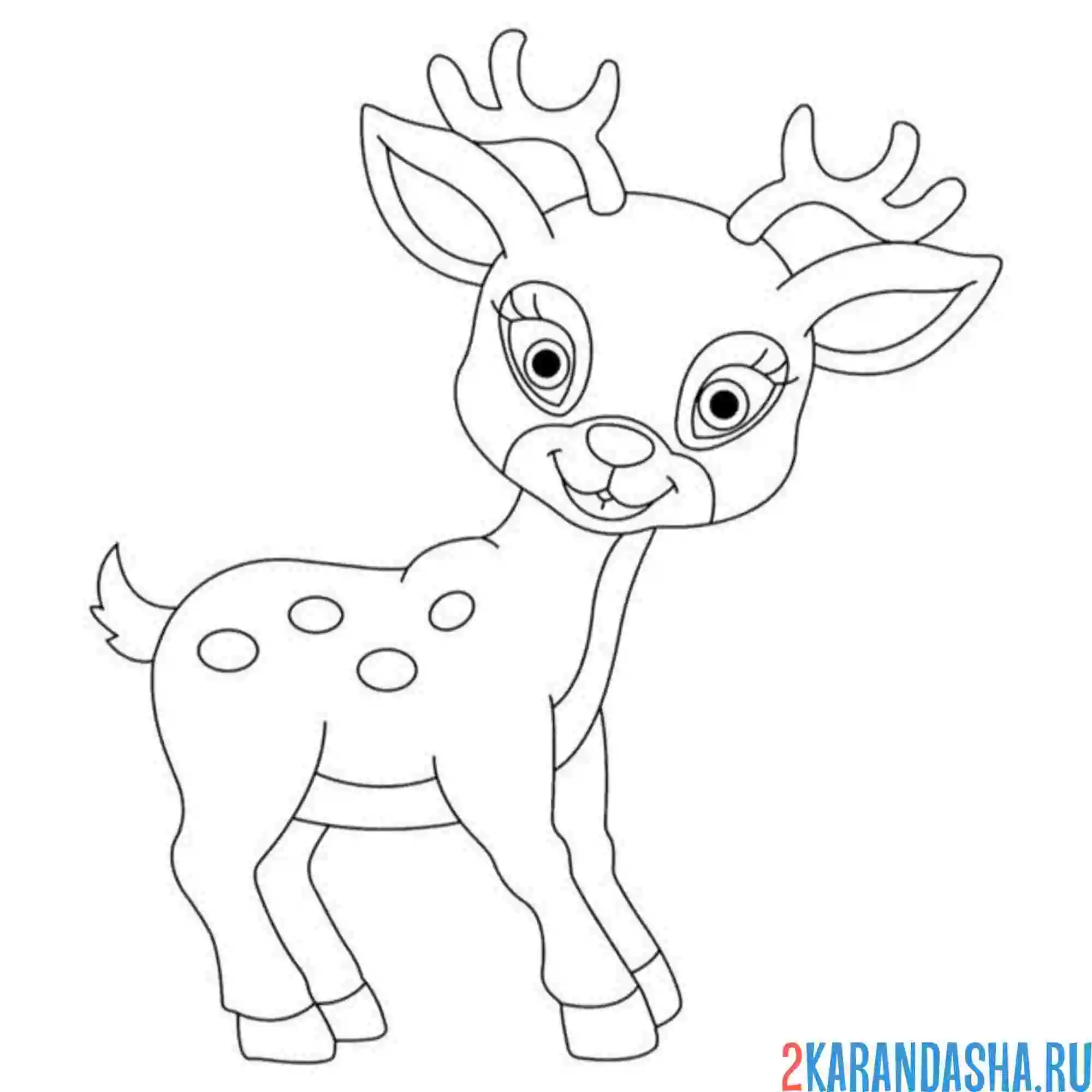Раскраска маленький олененок
