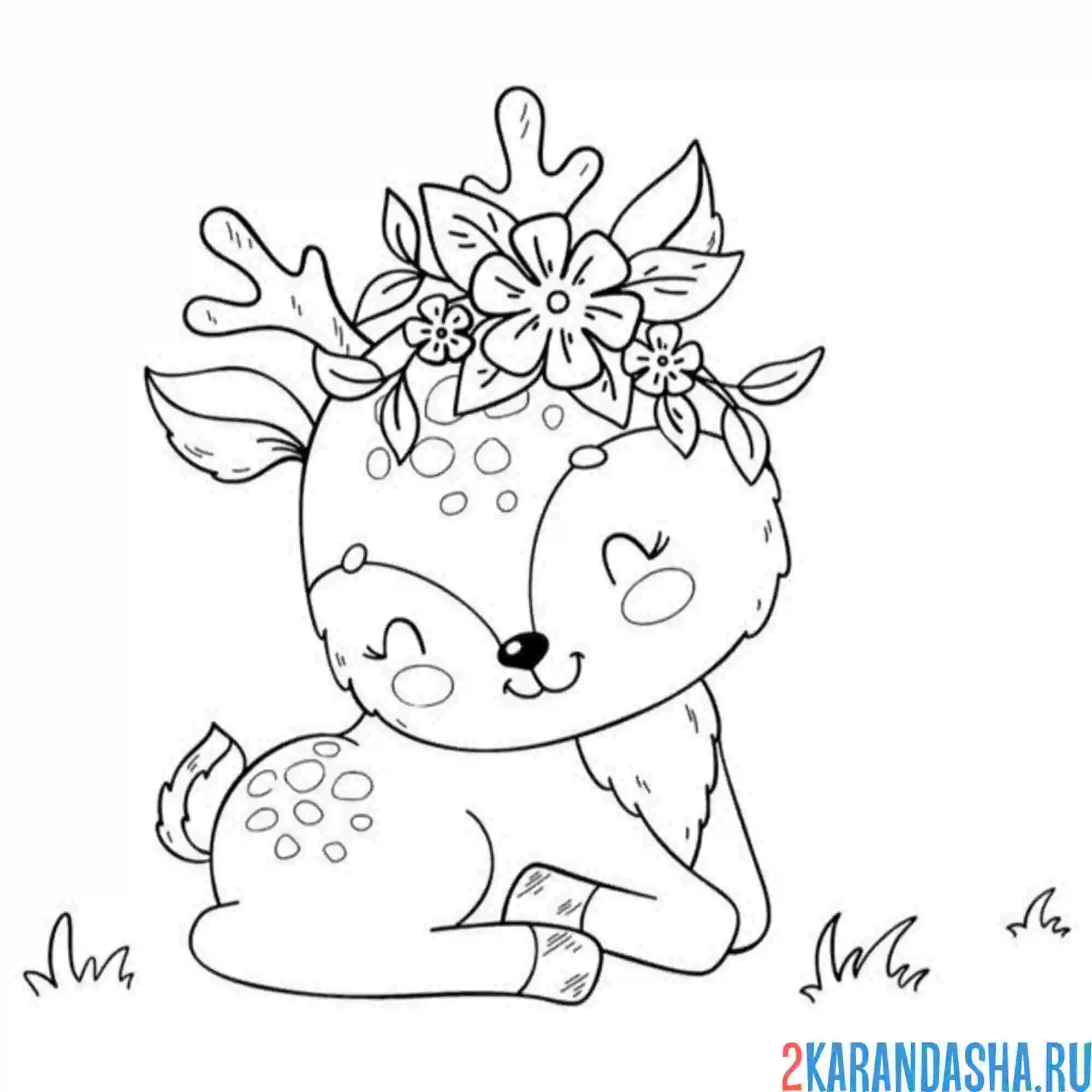 Раскраска милый олень спит