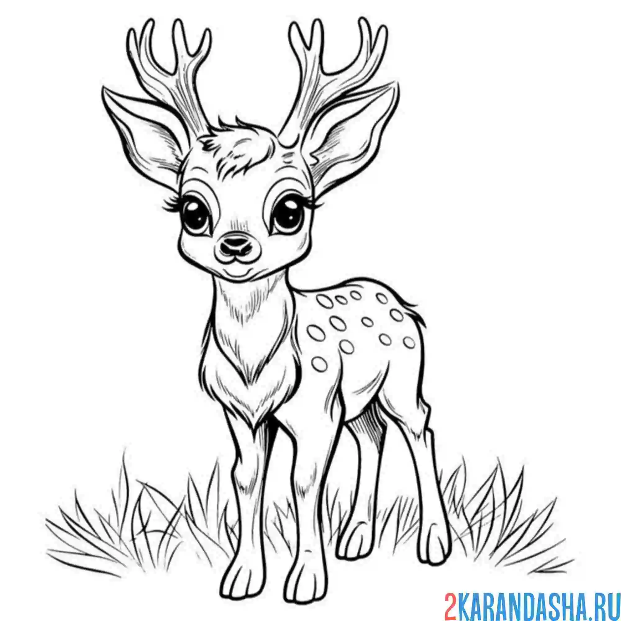 Раскраска красивые олень в лесу