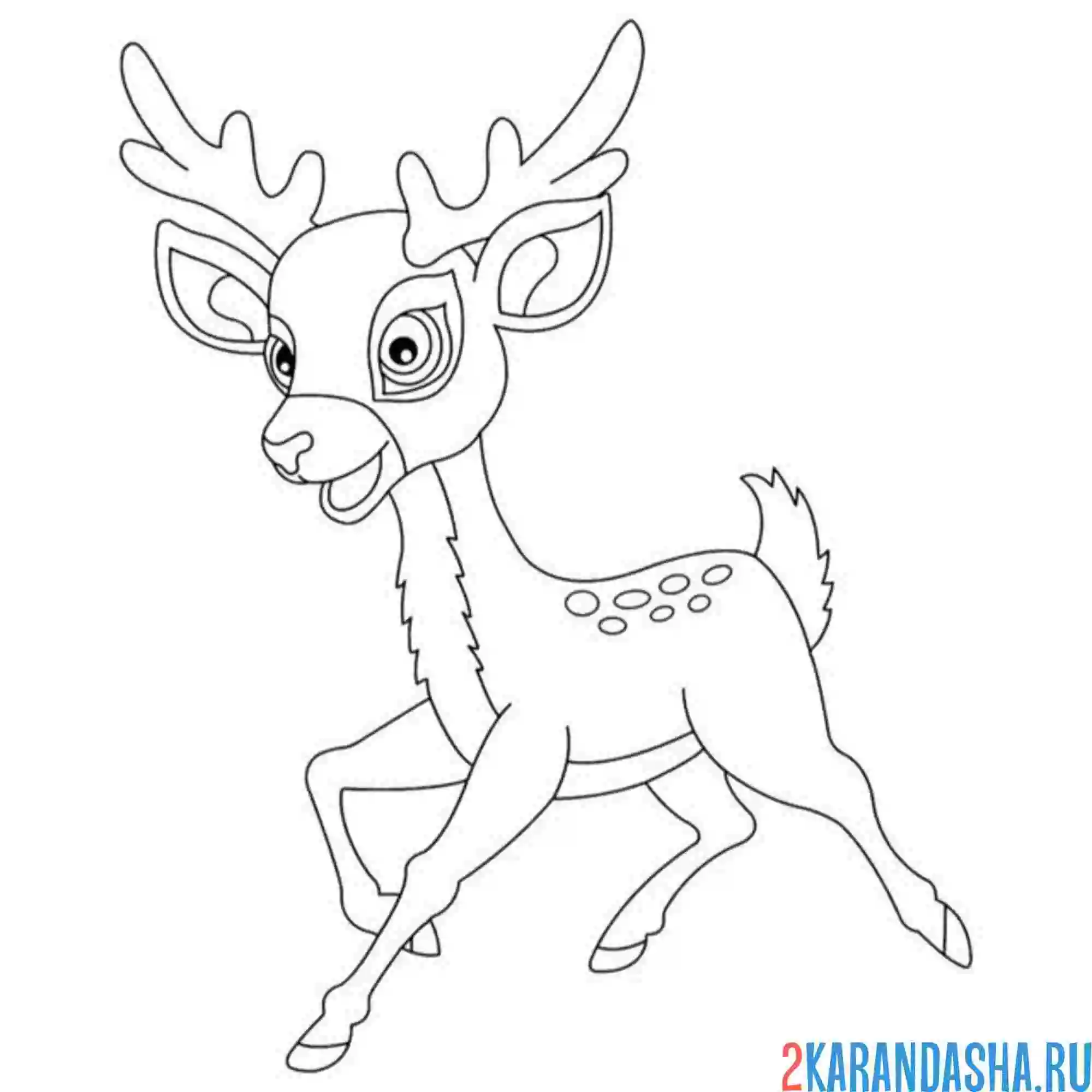 Раскраска скакун олень