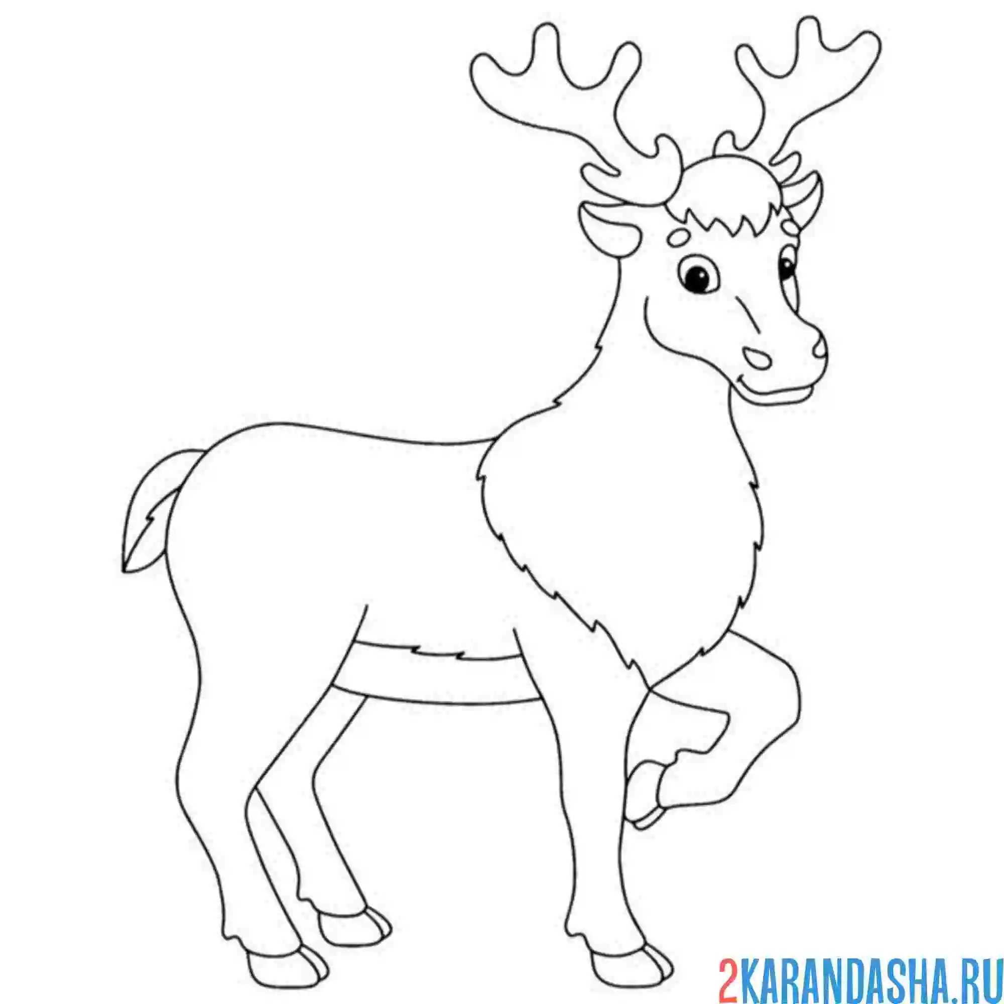 Раскраска лось