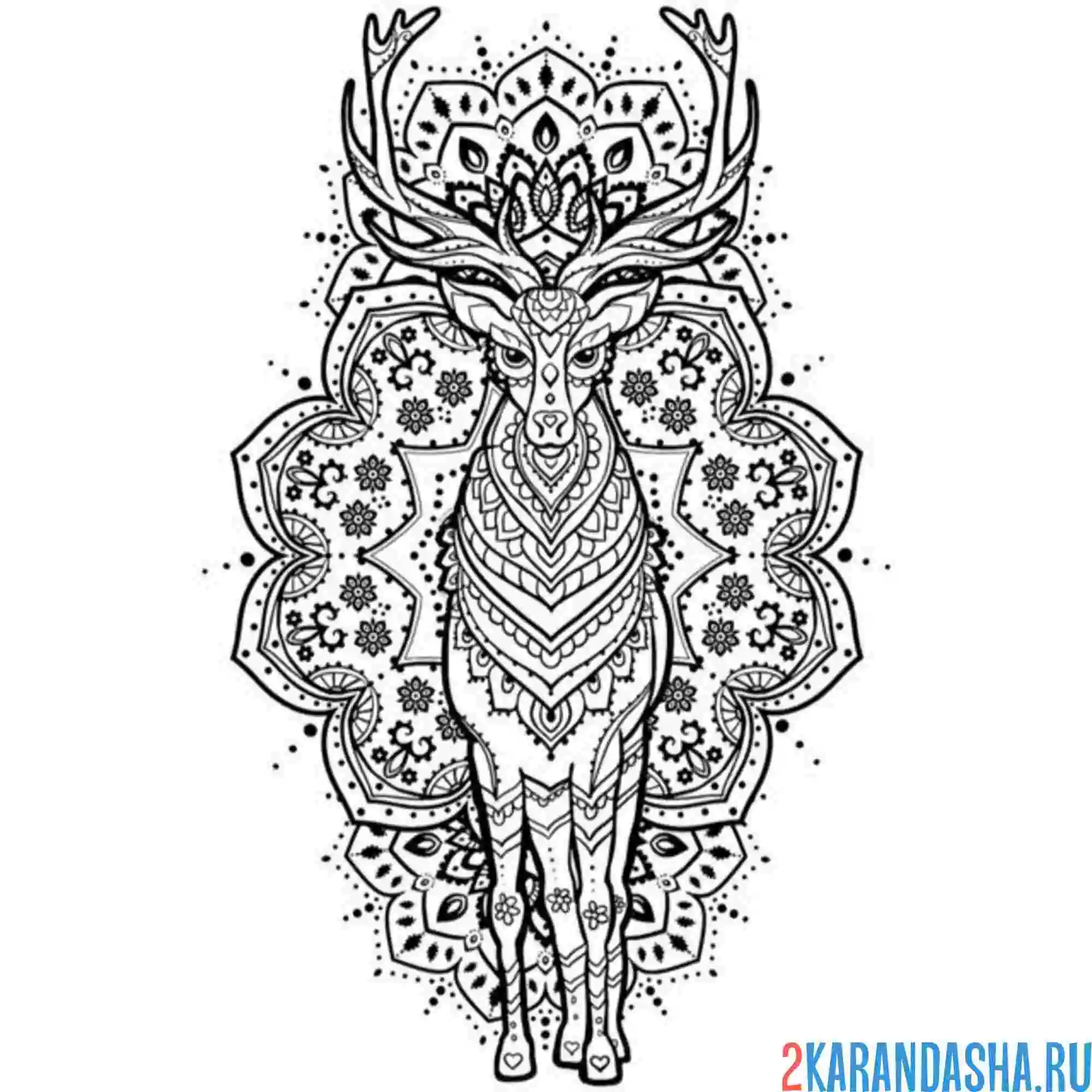 Раскраска антистресс олень