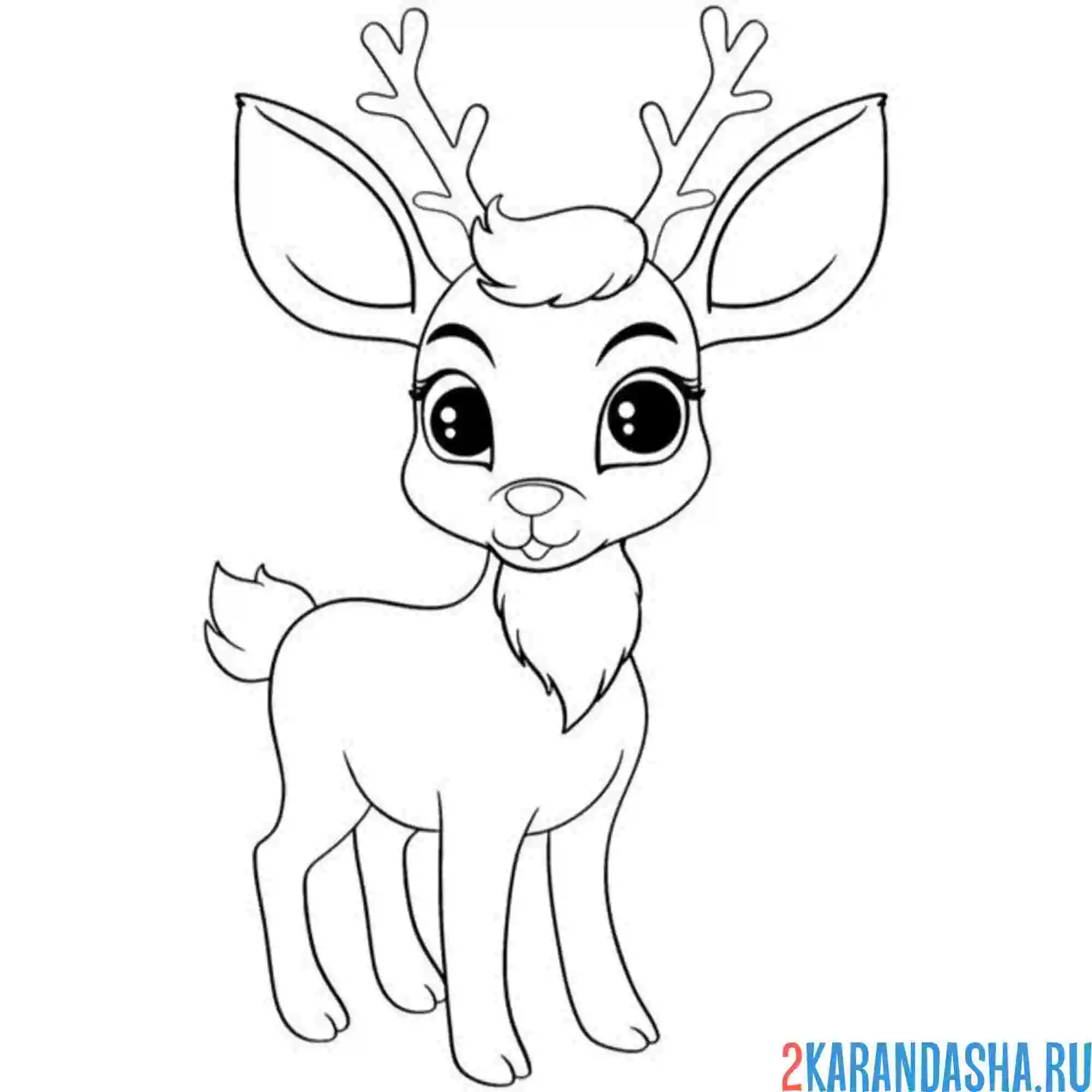 Раскраска красивый олень с большими глазами