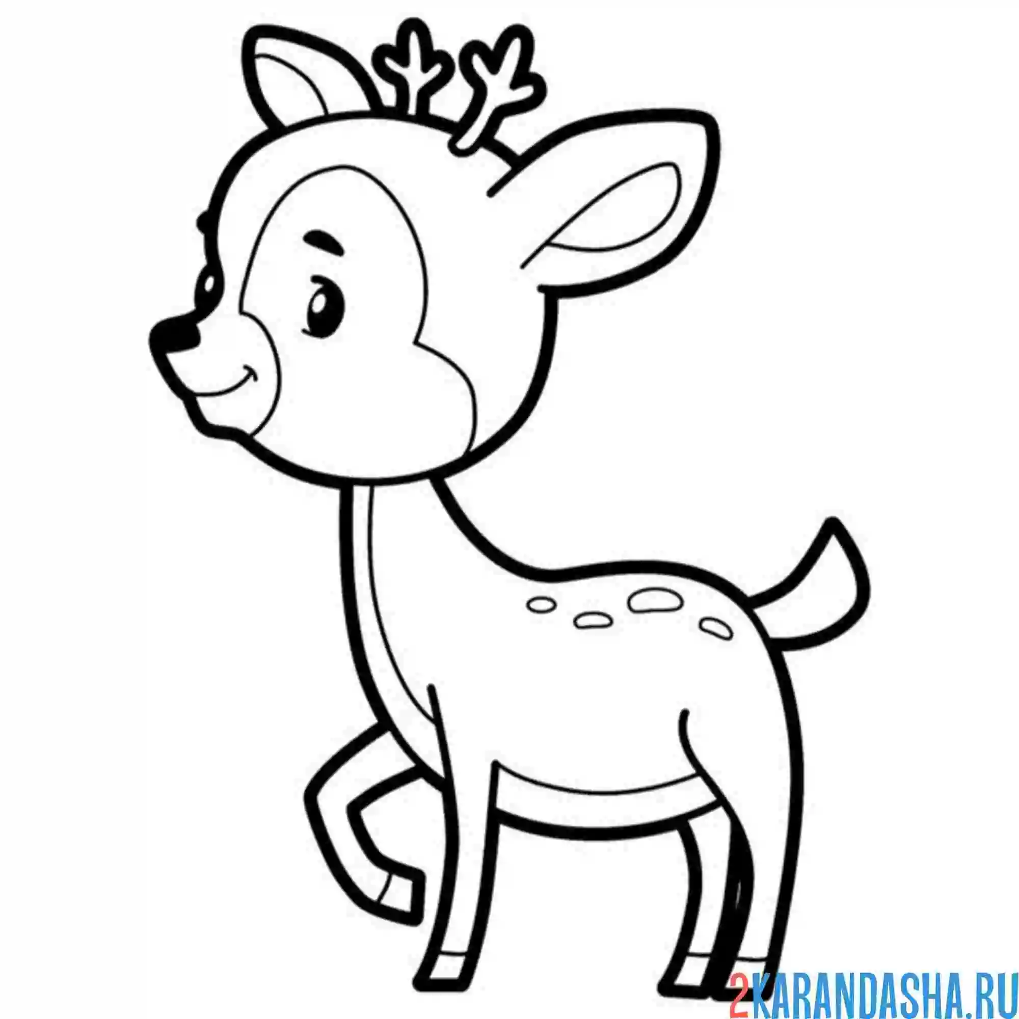 Раскраска маленький олень