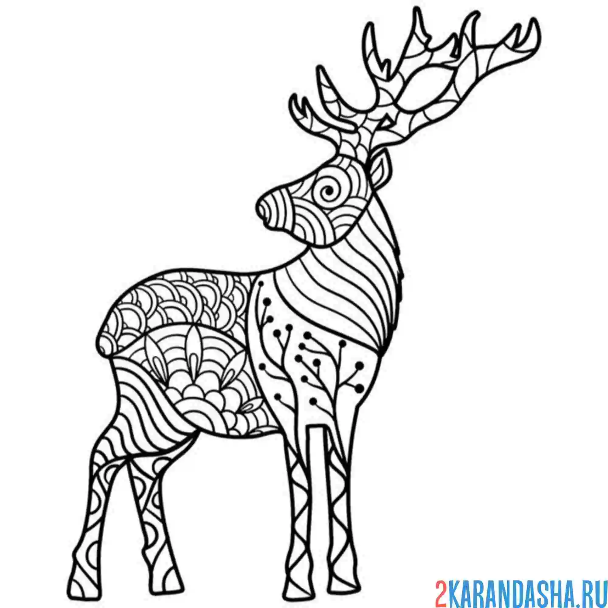 Раскраска антистресс олень узоры
