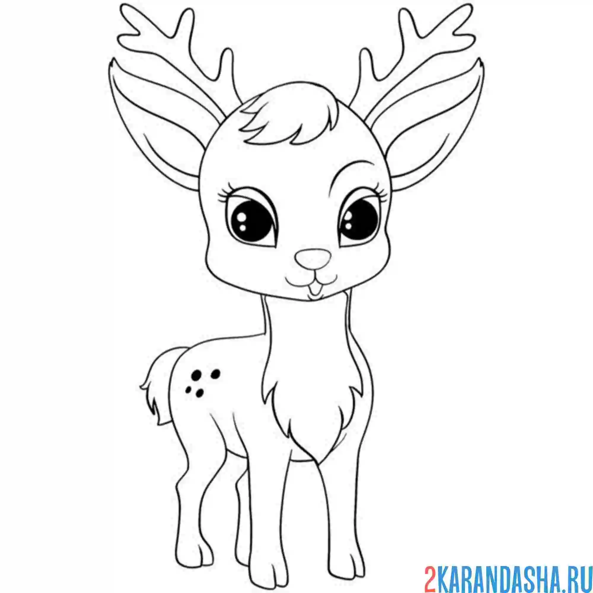 Раскраска олень с рогами и ушами