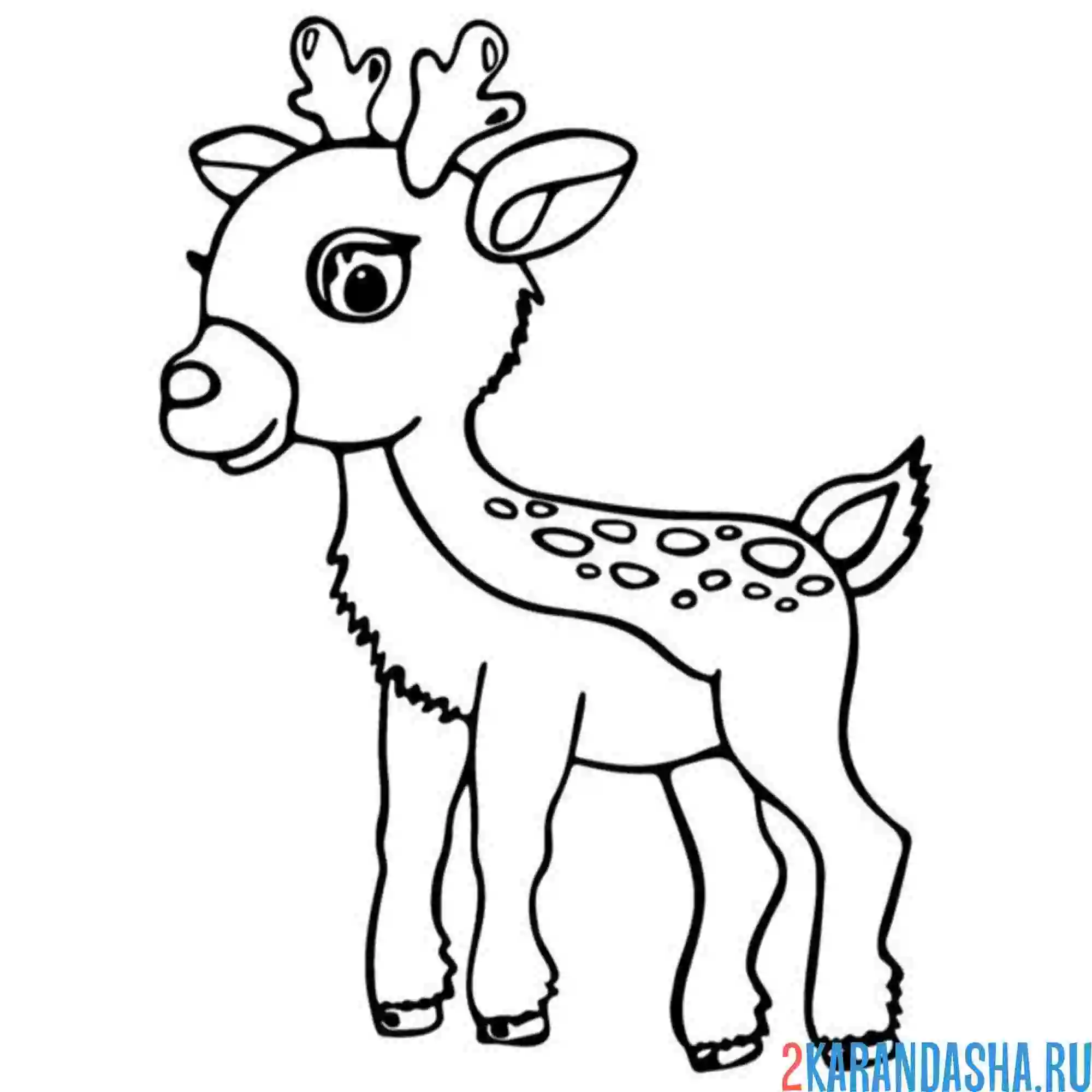 Раскраска малыш олененок